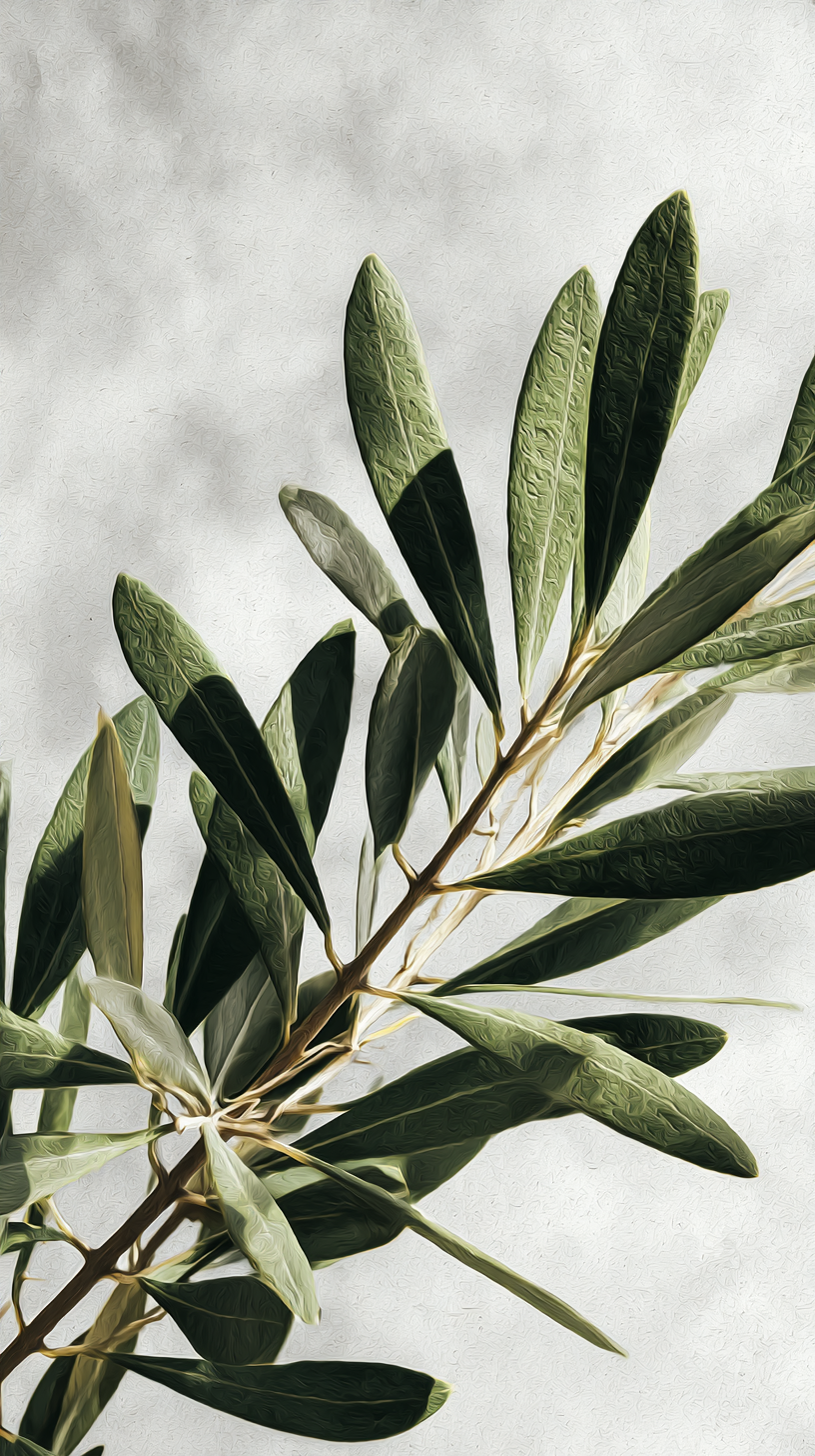 fond d'écran Olea iphone 16 pro max gratuit