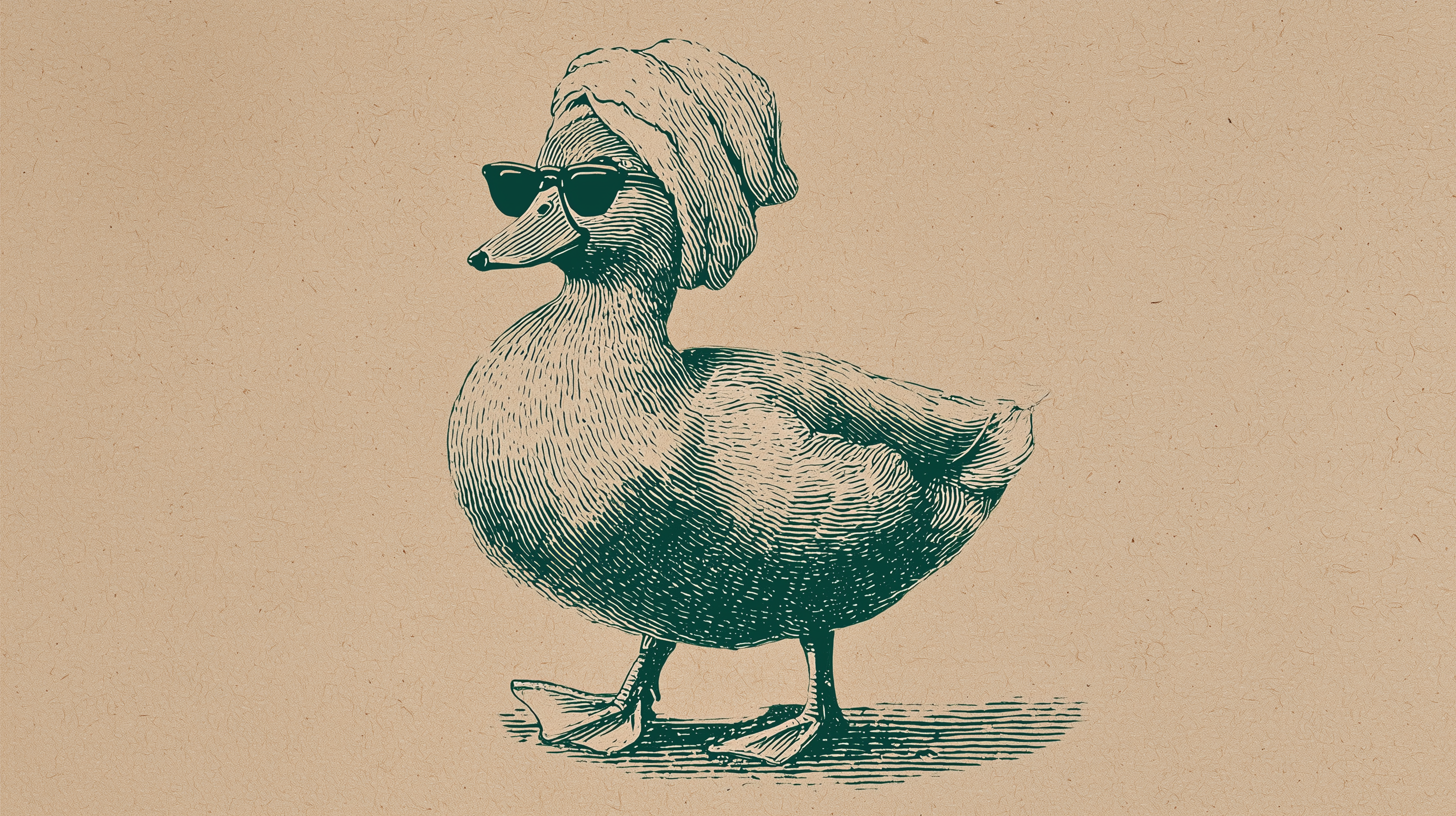 fond d'écran Canard 1920x1200 téléchargement gratuit