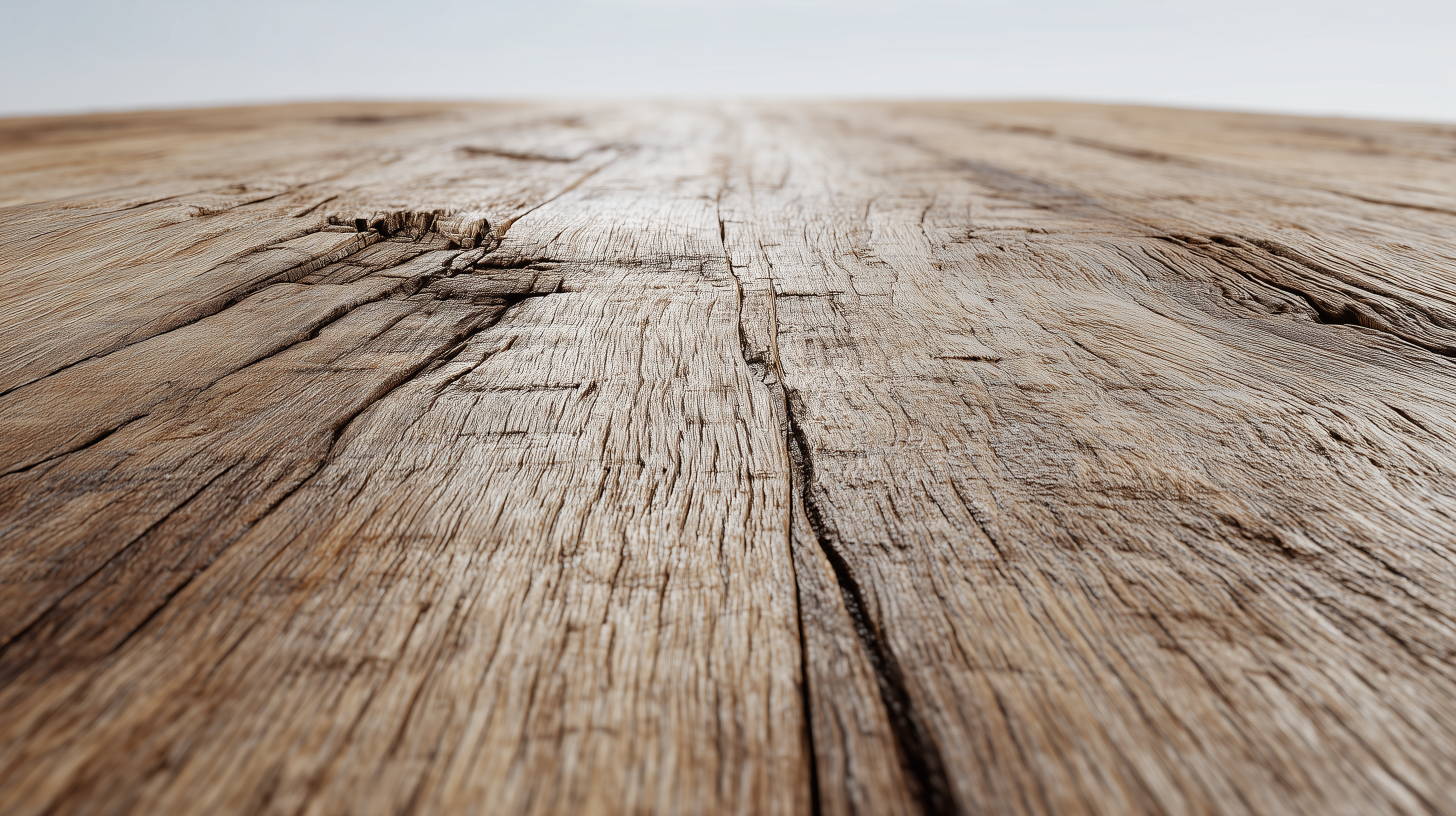 fond d'écran Bois Microsoft Surface téléchargement gratuit