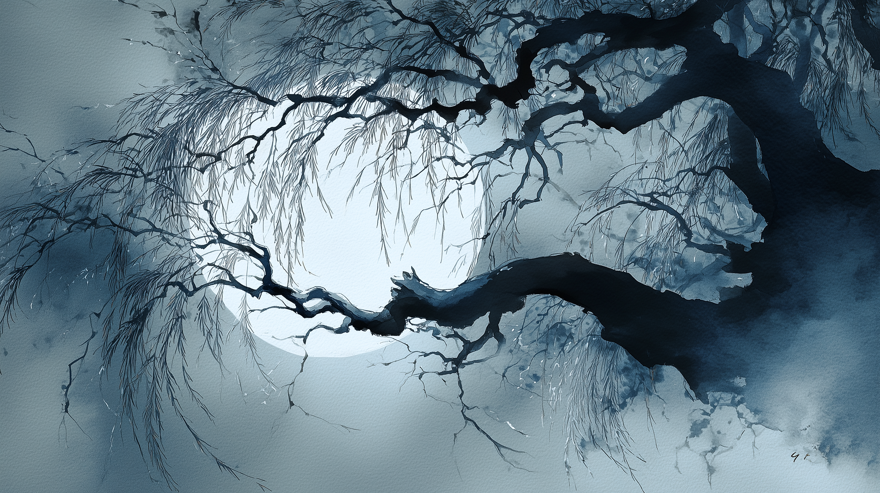 fond d'écran Saule windows 11 hd téléchargement gratuit