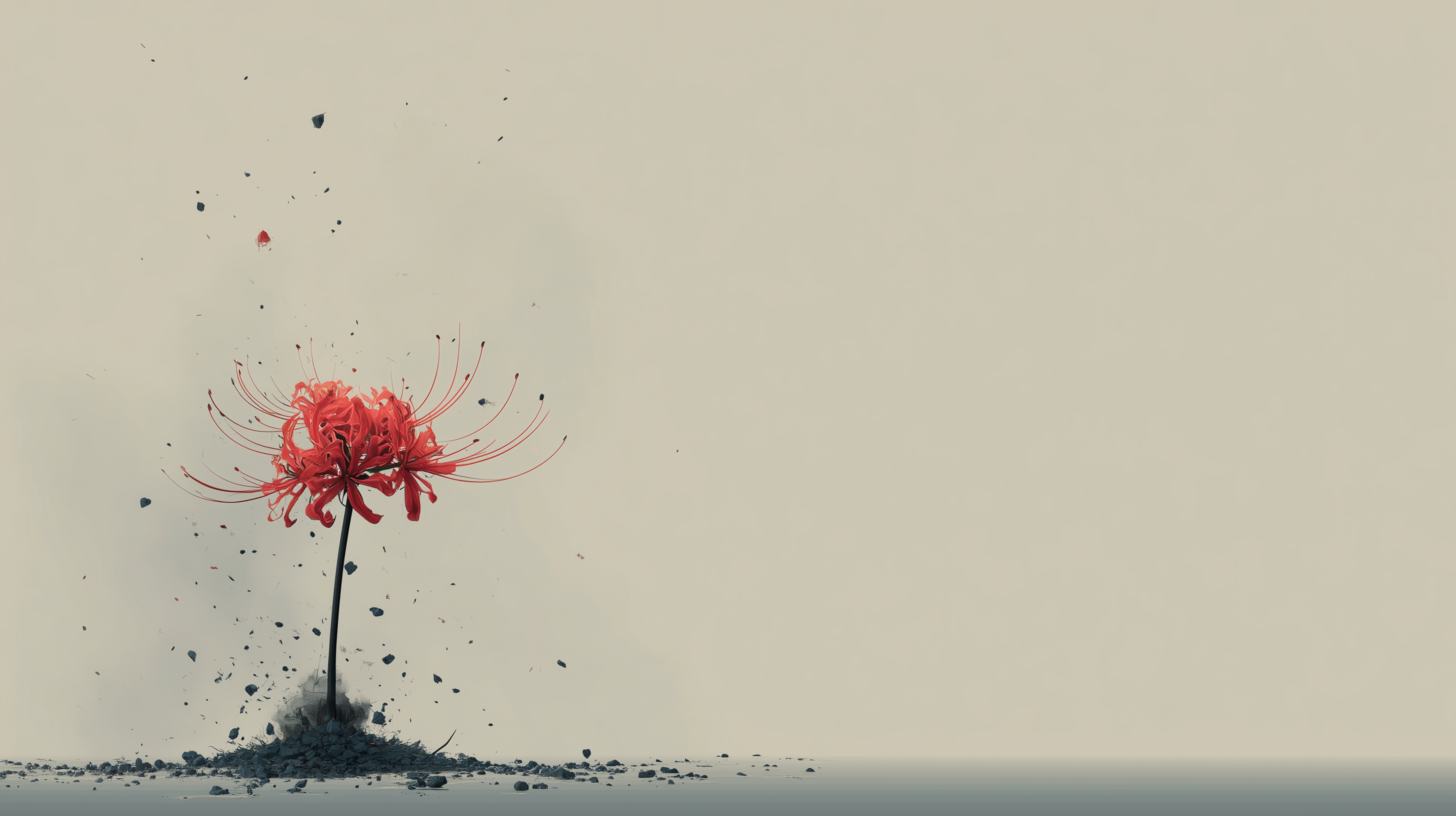 fond d'écran Lycoris radiata 1440p hd téléchargement gratuit