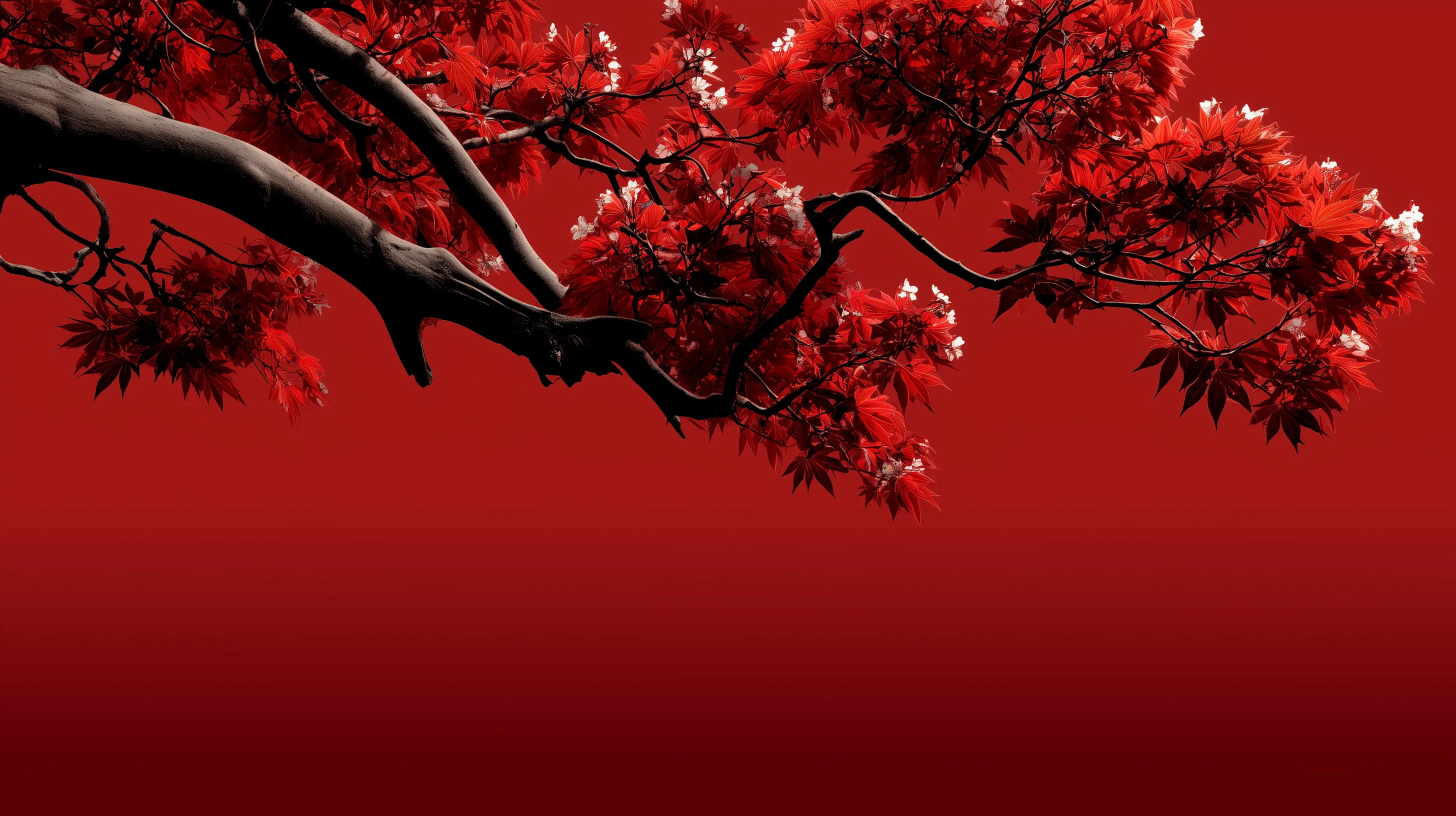 fond d'écran Rouge updated pc 1920x1080 hd téléchargement gratuit