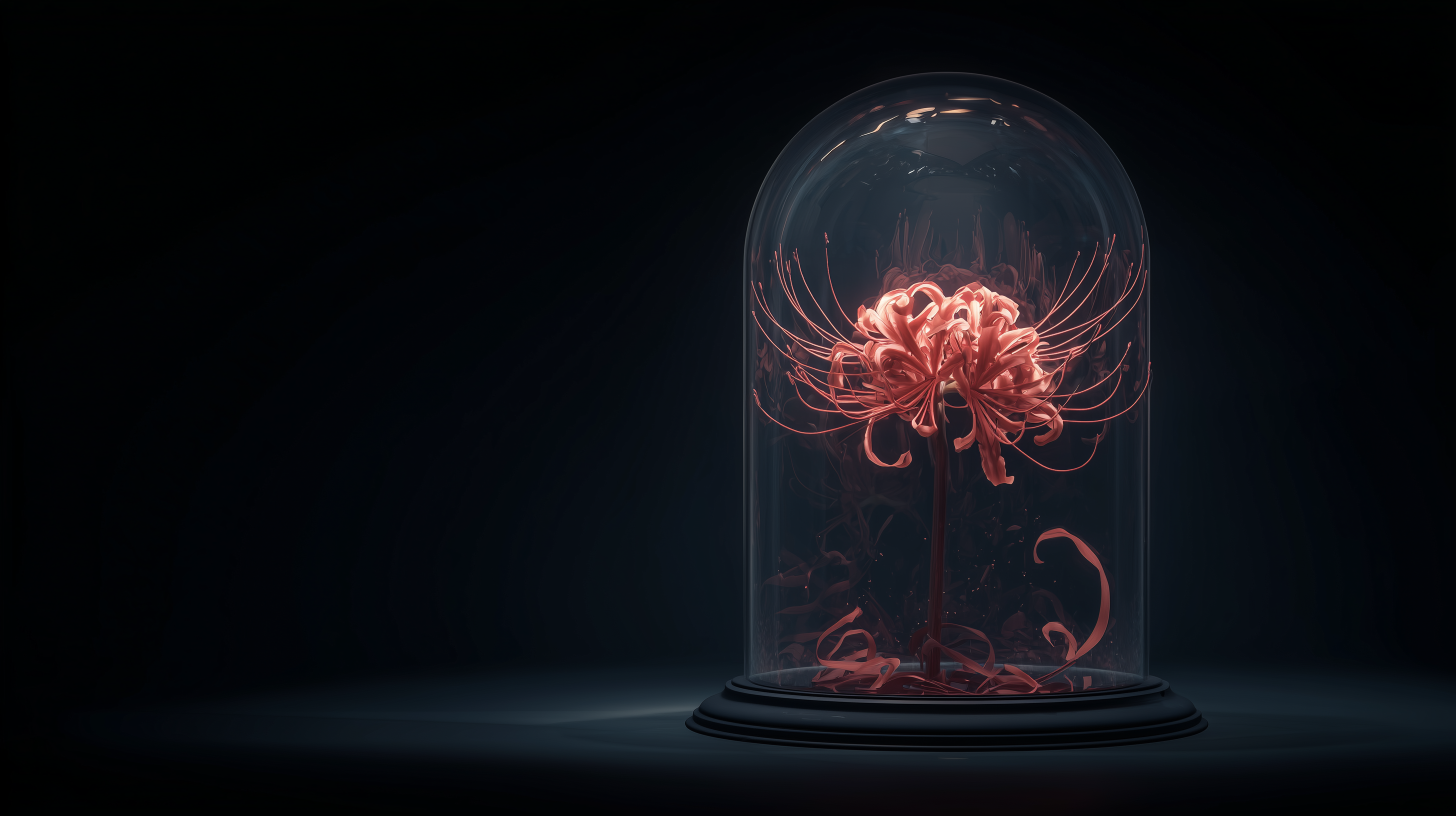 fond d'écran Lycoris radiata pc 4k 1920x1080 téléchargement gratuit