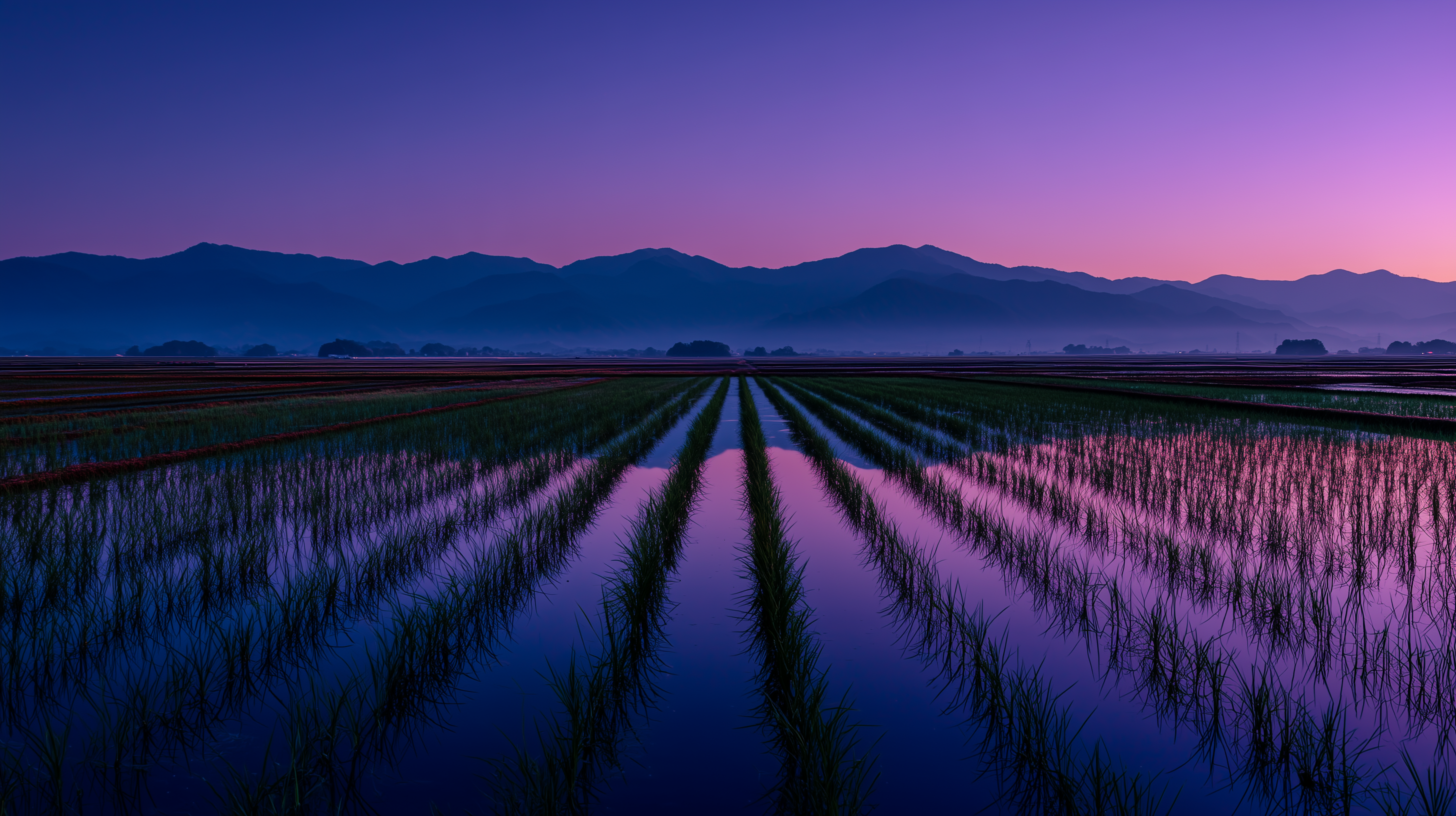 fond d'écran Rizière pc 4k 1920x1080 téléchargement gratuit
