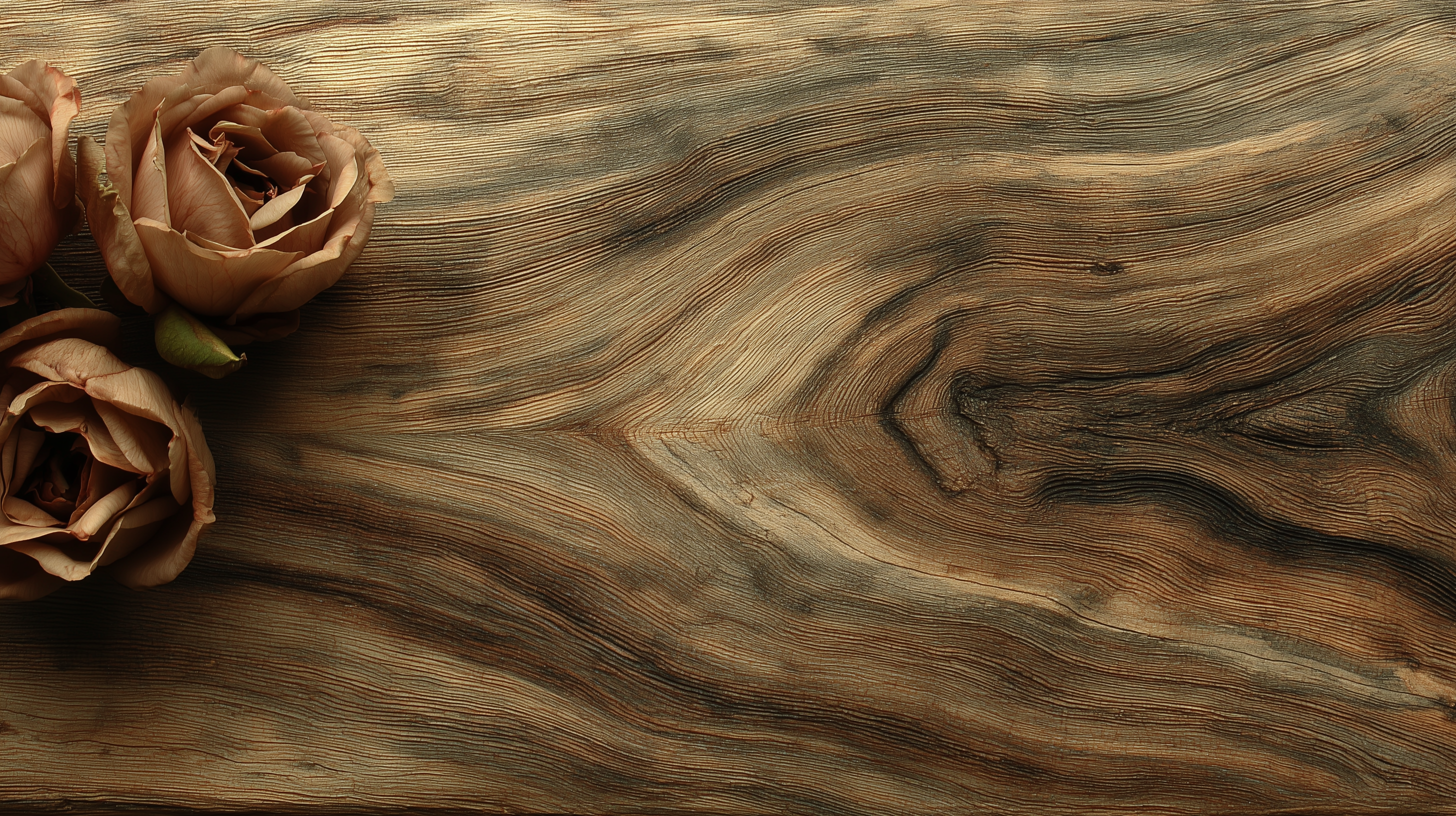 fond d'écran Bois 8k pc téléchargement gratuit