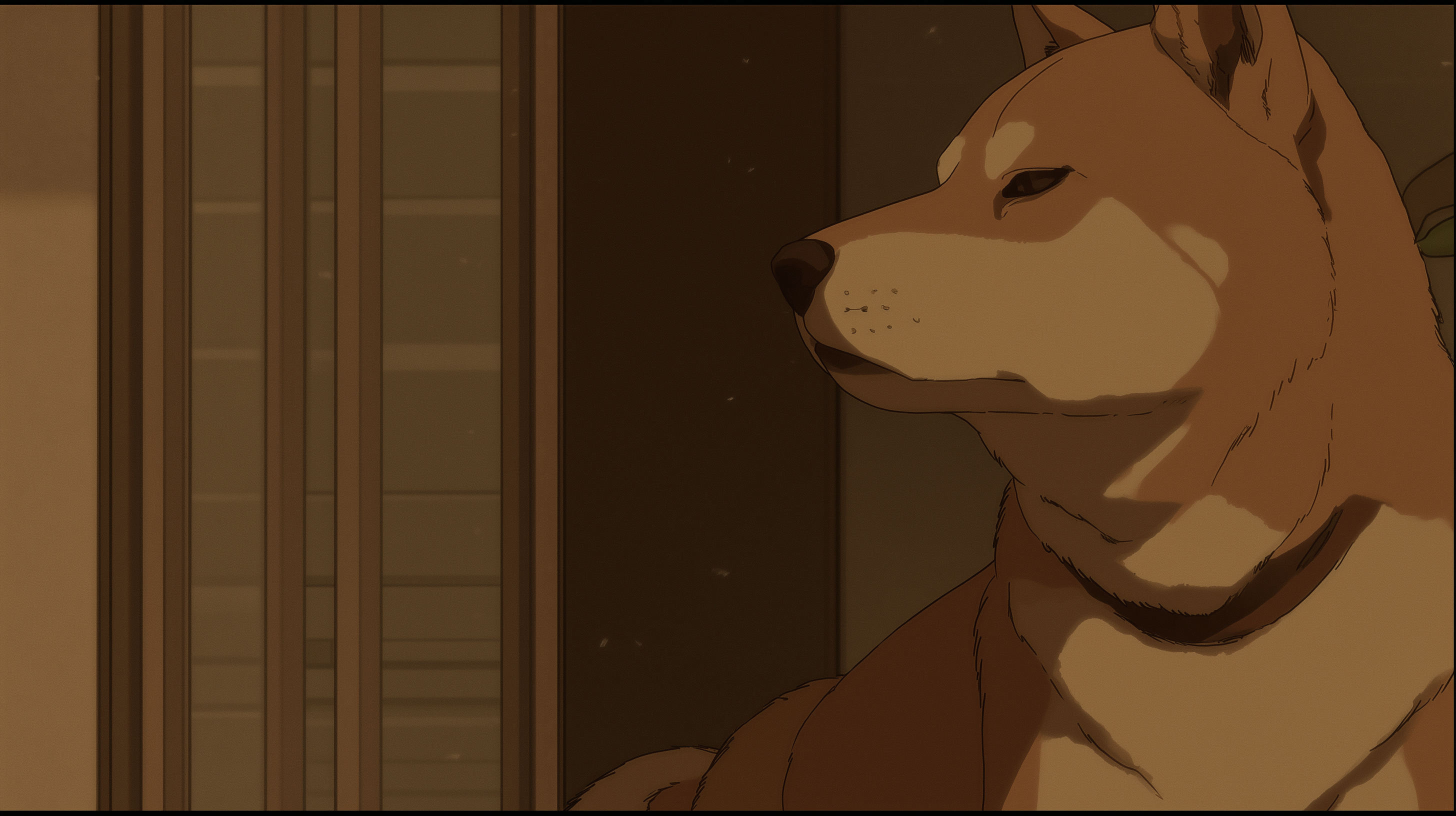 fond d'écran Shiba inu windows 10 gratuit téléchargement gratuit