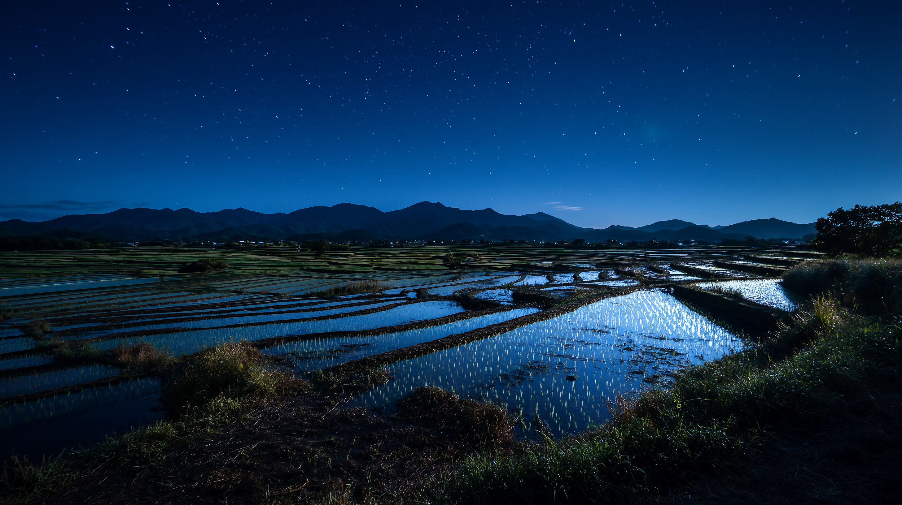 fond d'écran Rizière MSI téléchargement gratuit