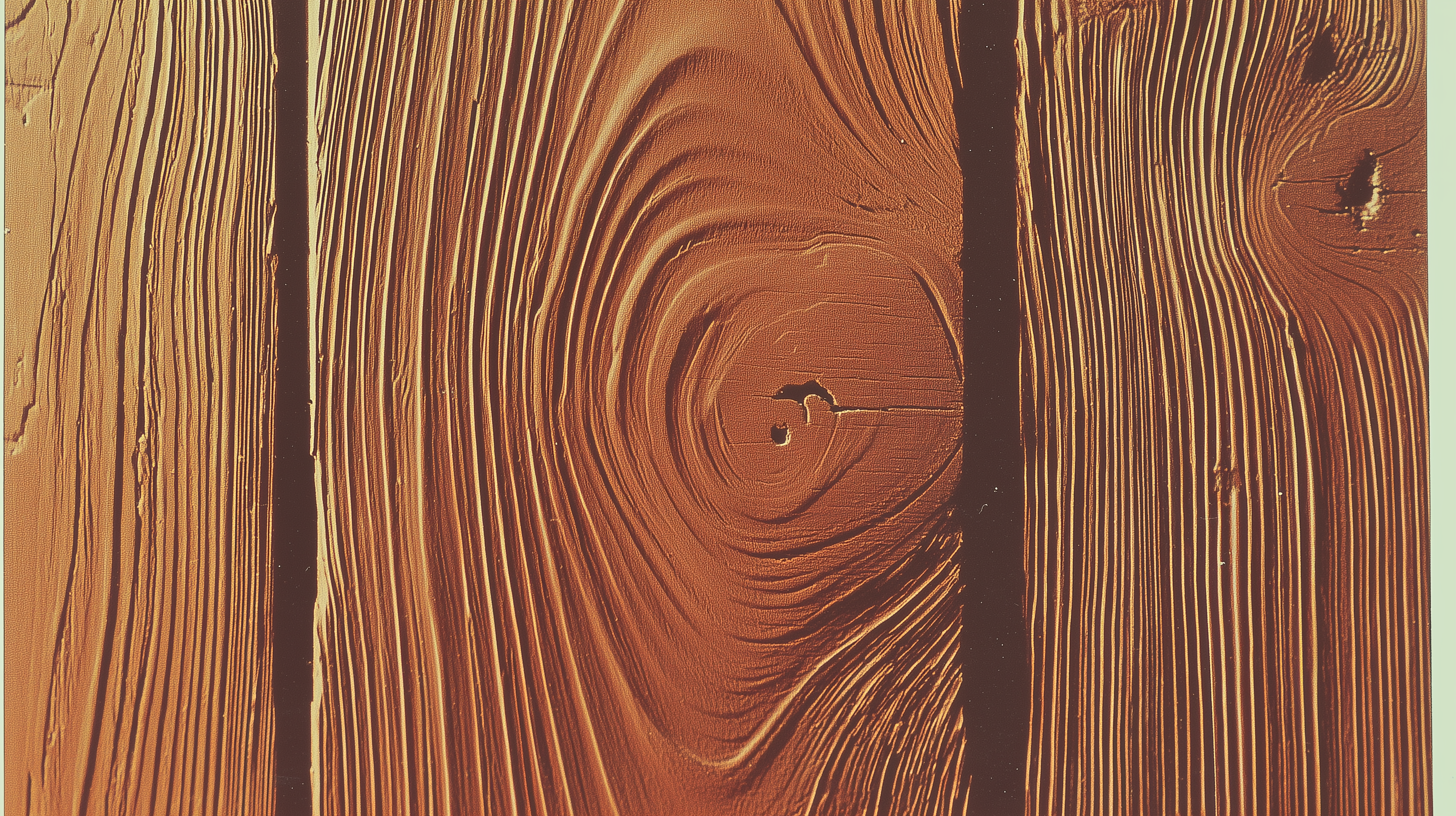 fond d'écran Bois pc 1920x1080 téléchargement gratuit