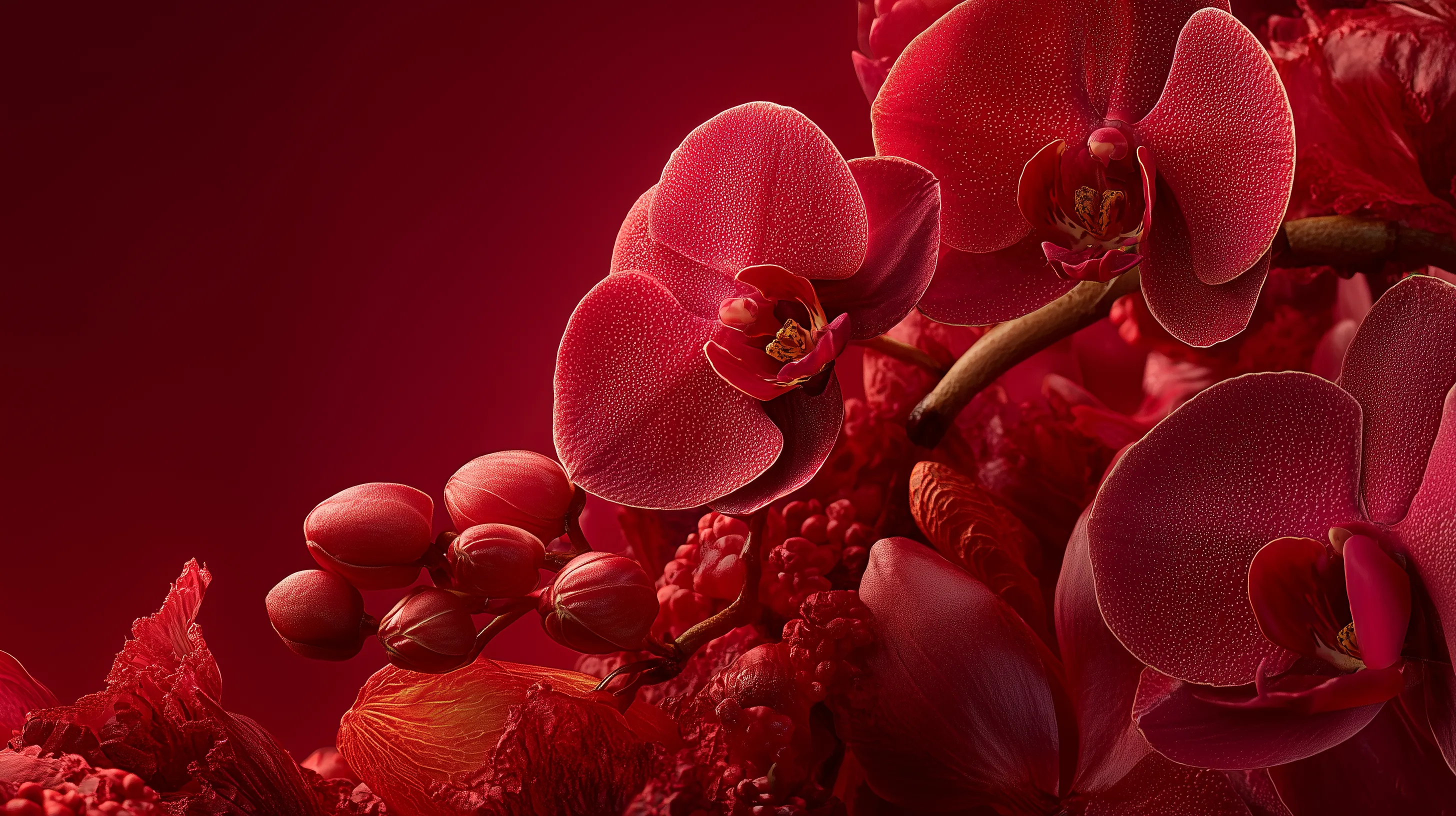 fond d'écran Rouge updated 8k téléchargement gratuit