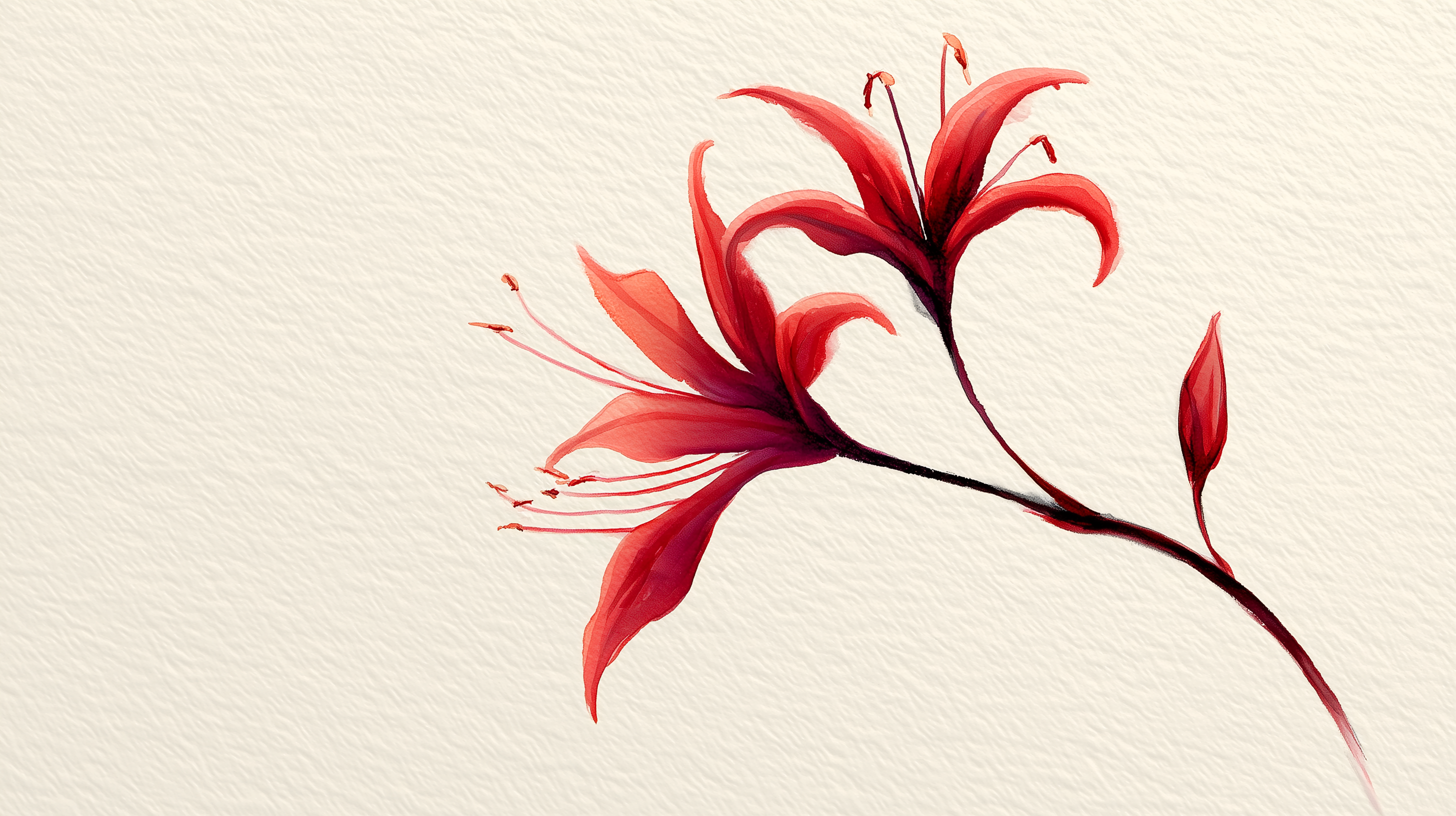 fond d'écran Lycoris radiata gratuit pour pc téléchargement sans filigrane