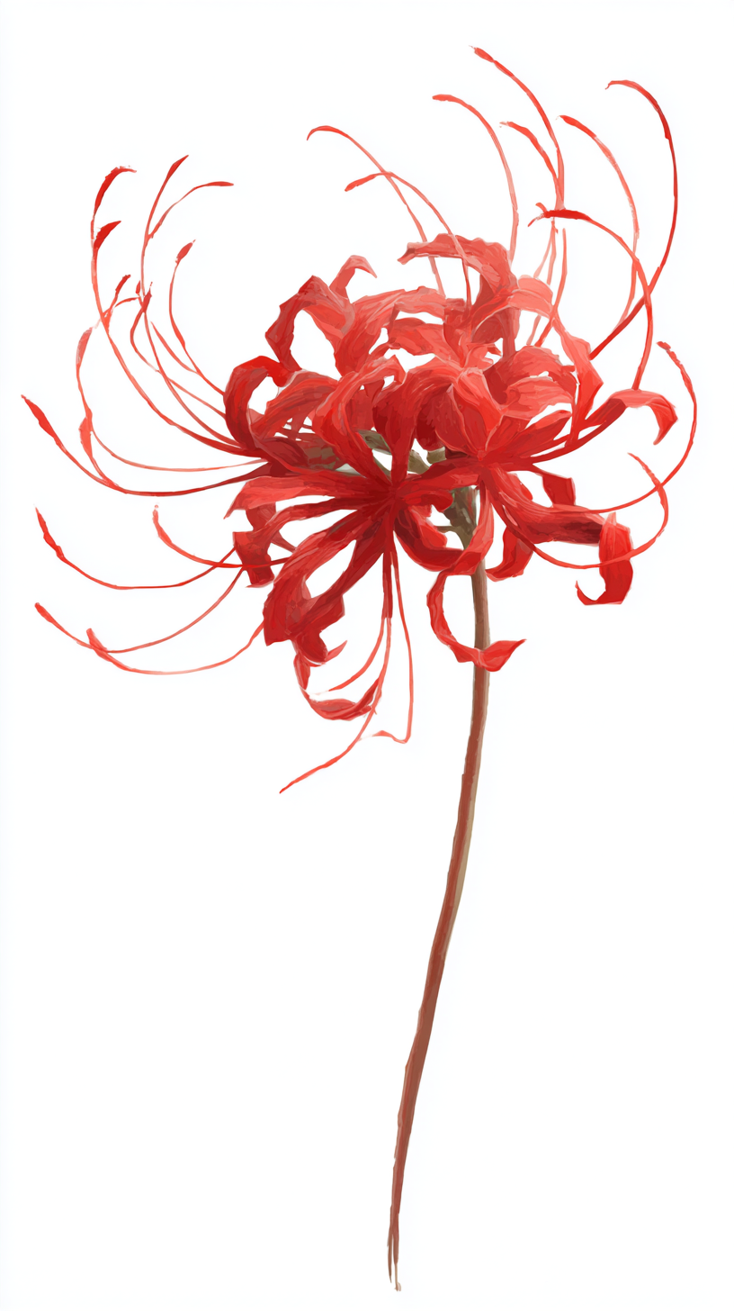 fond d'écran Lycoris radiata iphone 14 pro max gratuit