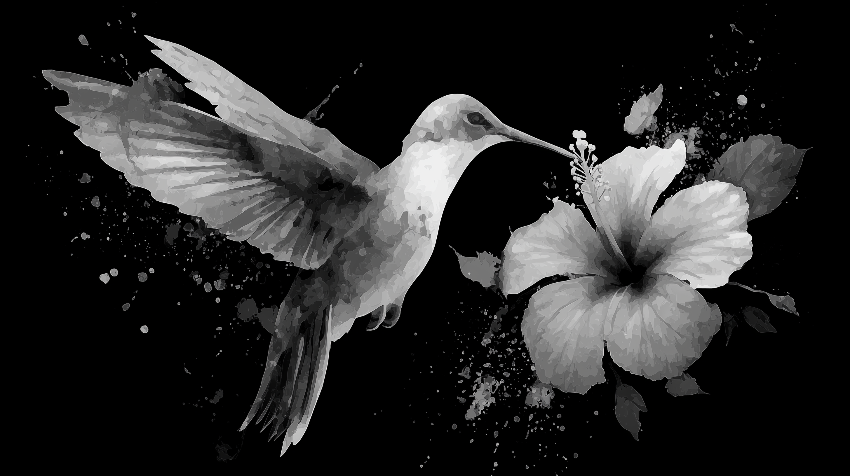 fond d'écran Trochilidae 2560x1440 hd téléchargement gratuit