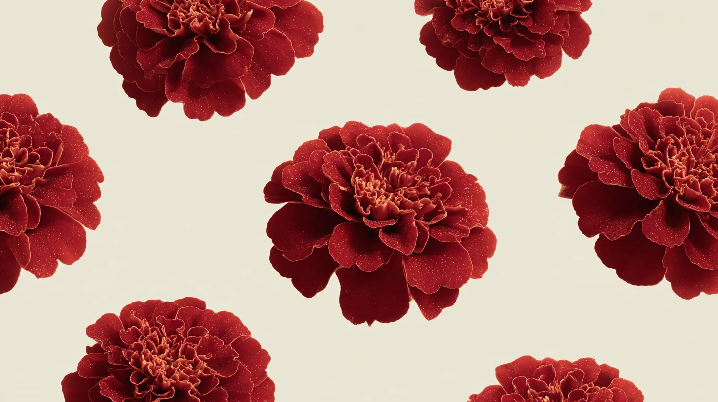 fond d'écran Rouge updated windows 4k téléchargement gratuit