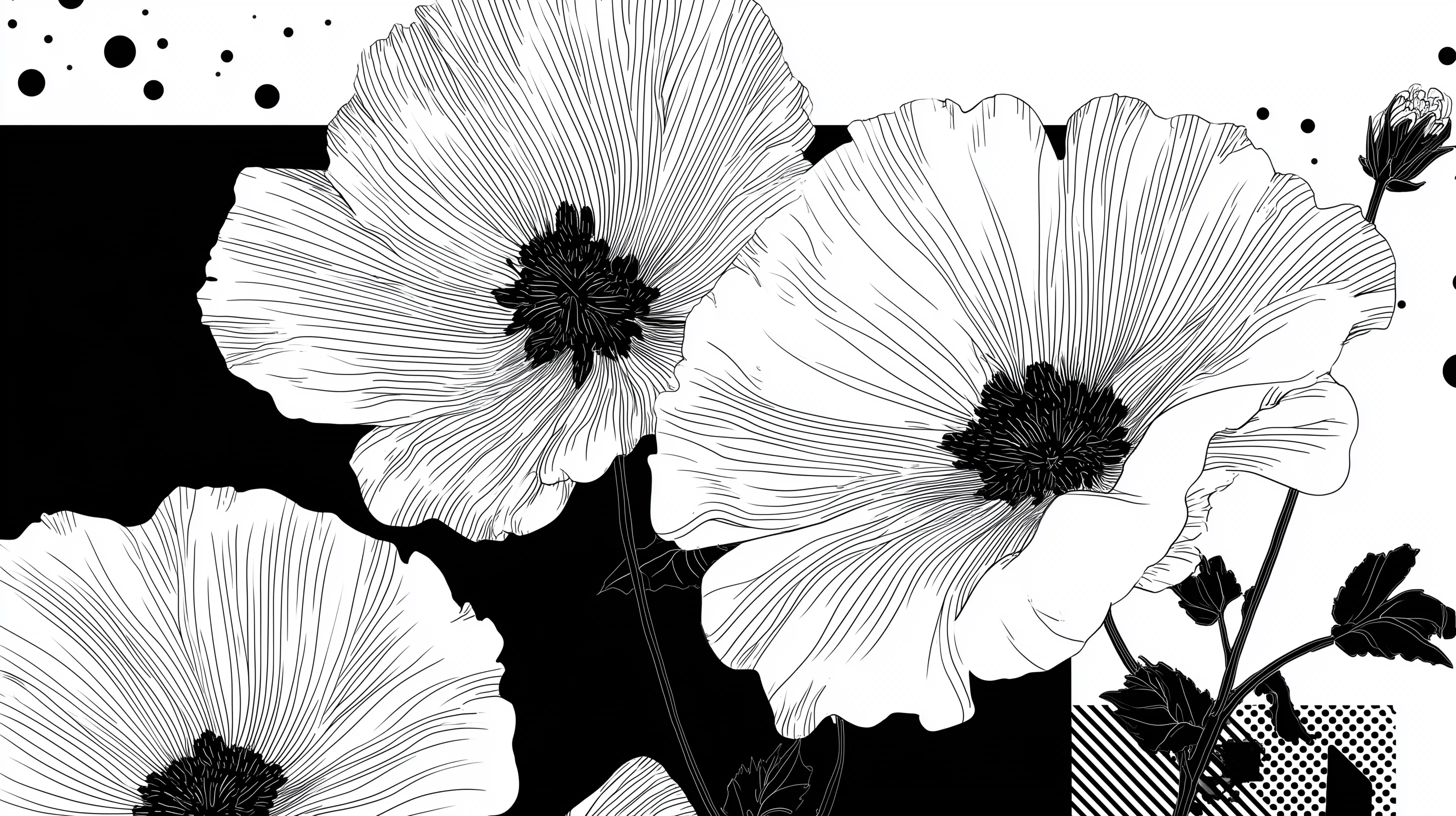 fond d'écran Noir et Blanc updated pc 4k ultra hd téléchargement gratuit