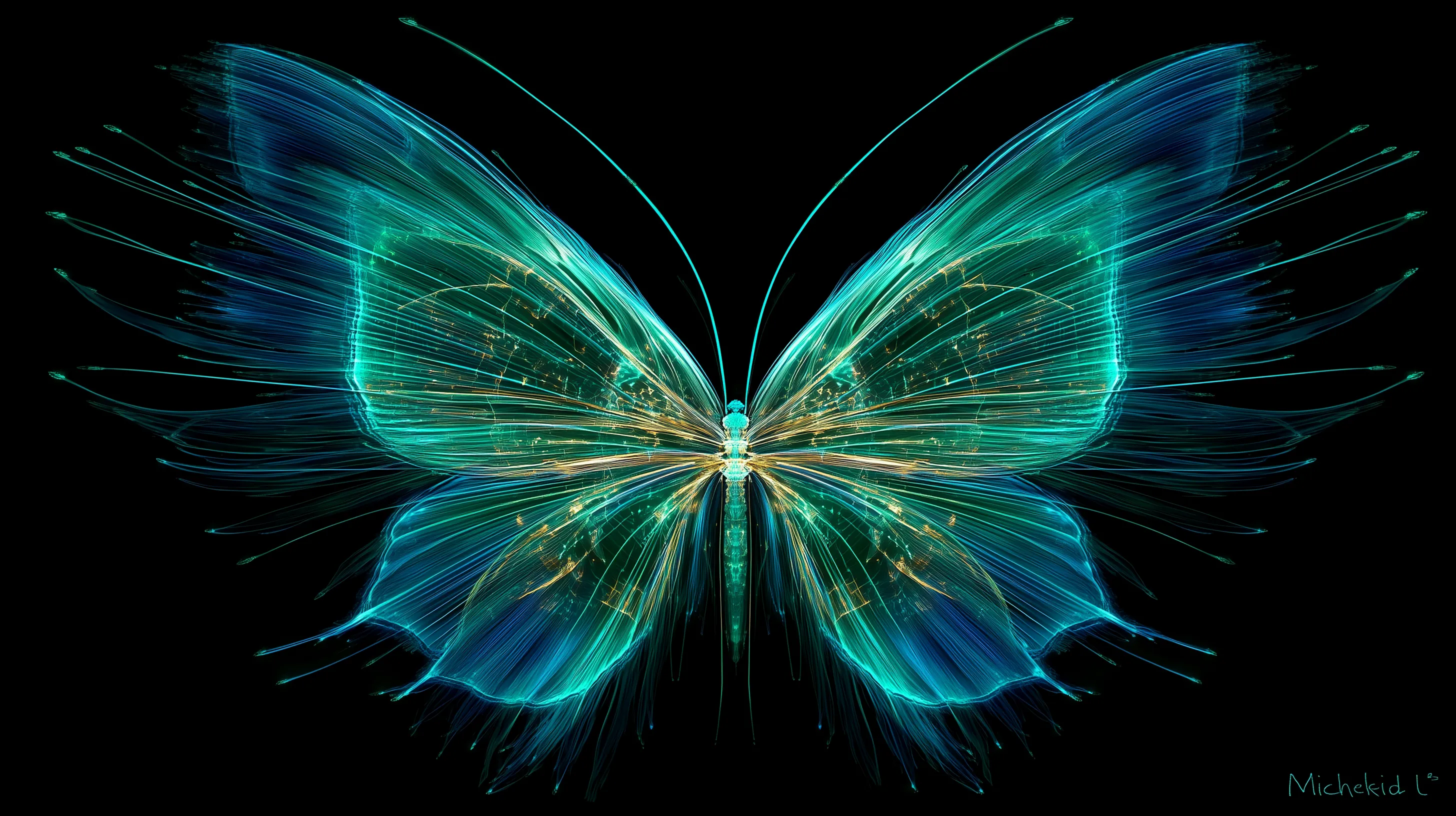 fond d'écran Papillon updated hp téléchargement gratuit