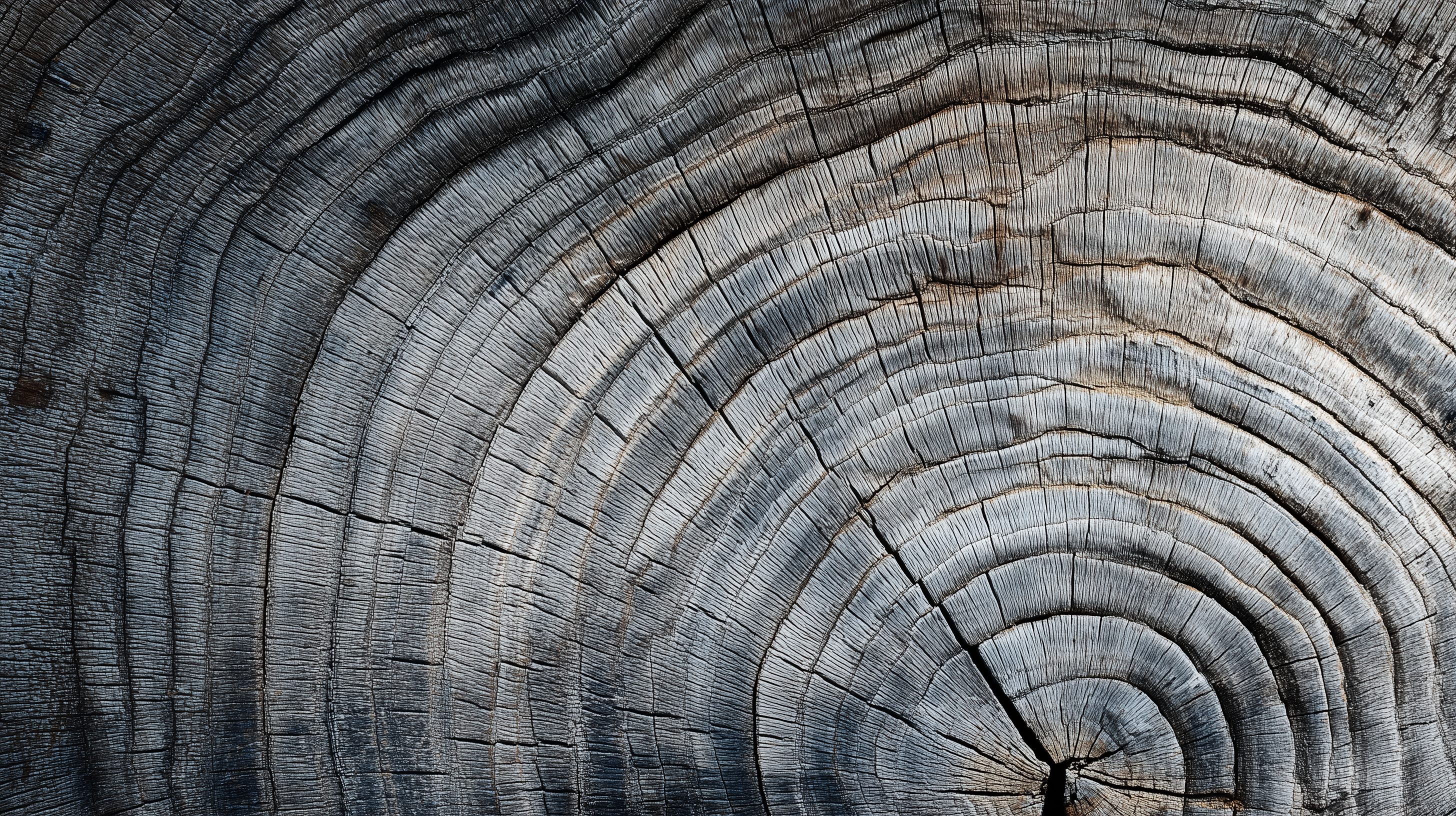 fond d'écran Bois pc windows téléchargement gratuit