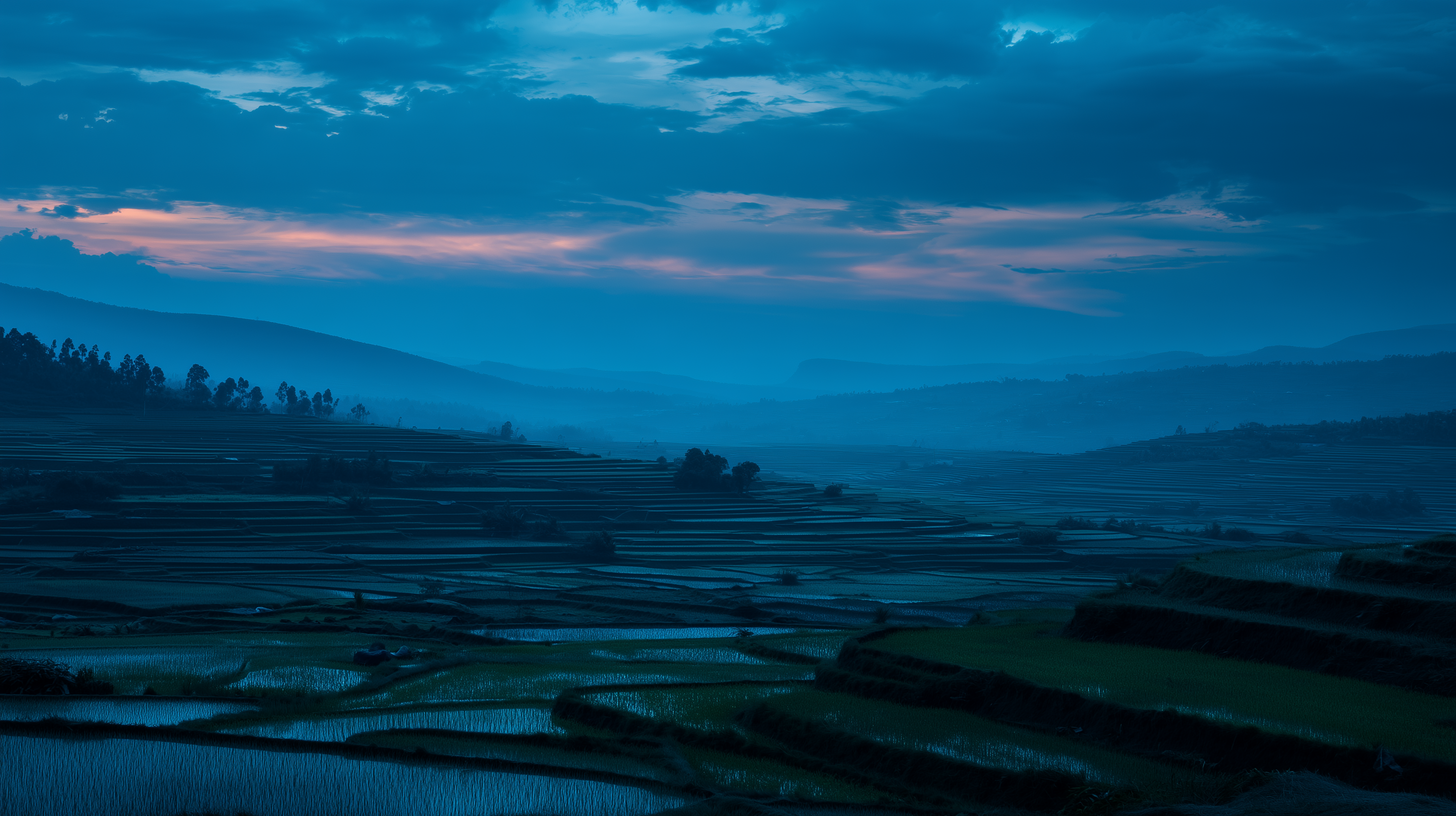fond d'écran Rizière haute définition téléchargement gratuit