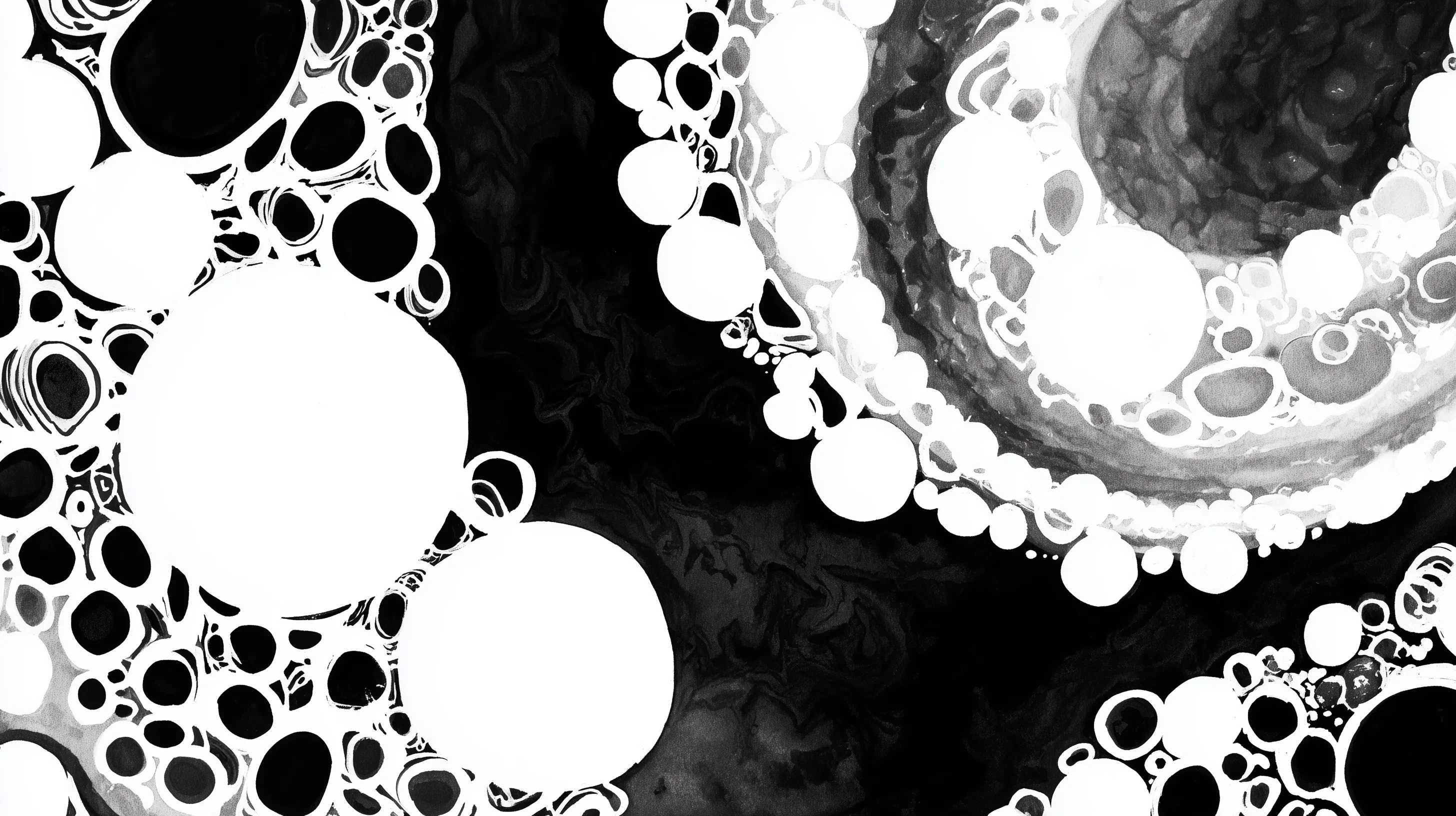 fond d'écran Noir et Blanc updated gratuit pour pc téléchargement sans filigrane