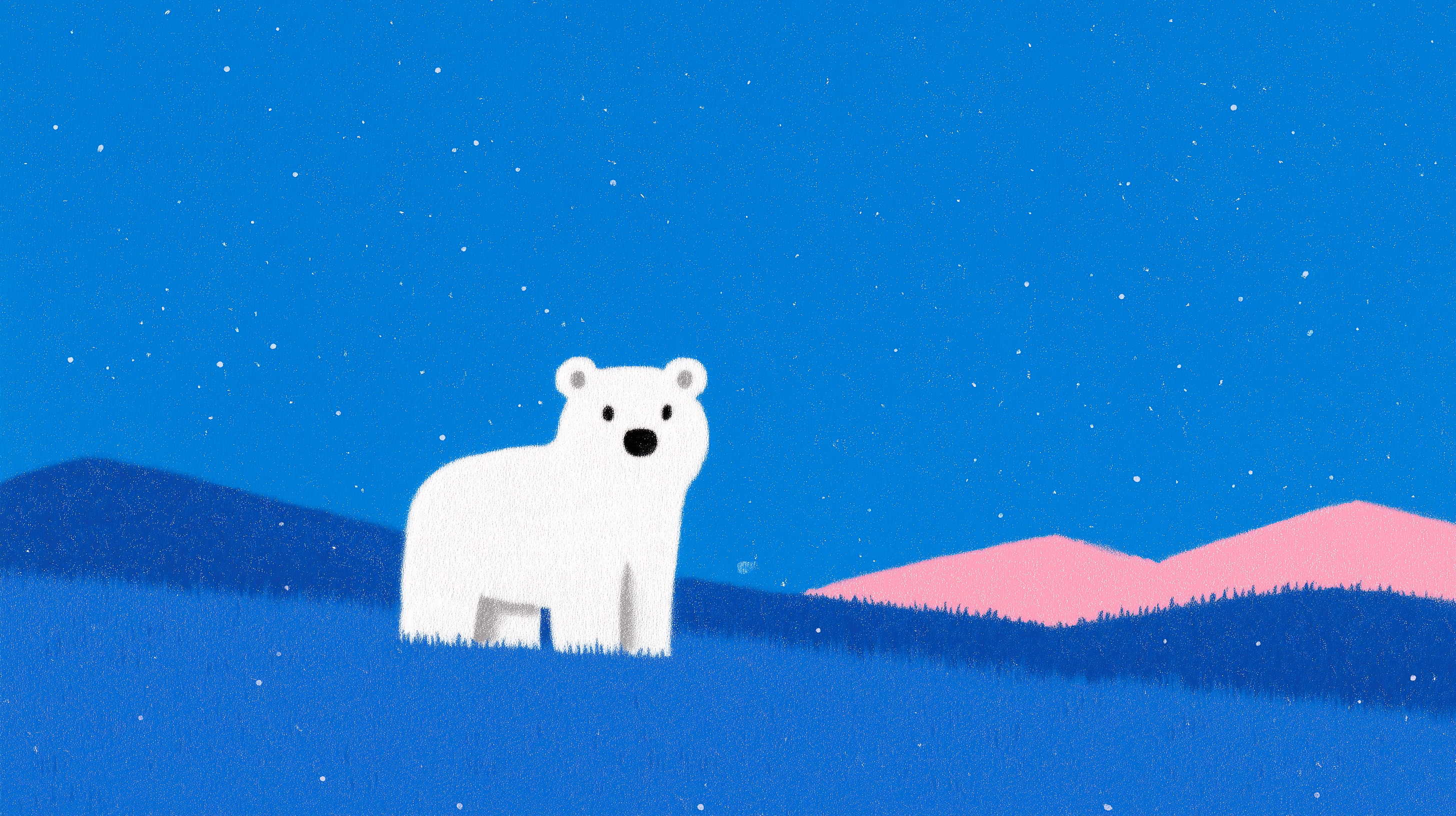 fond d'écran Ours blanc gratuit pc téléchargement gratuit