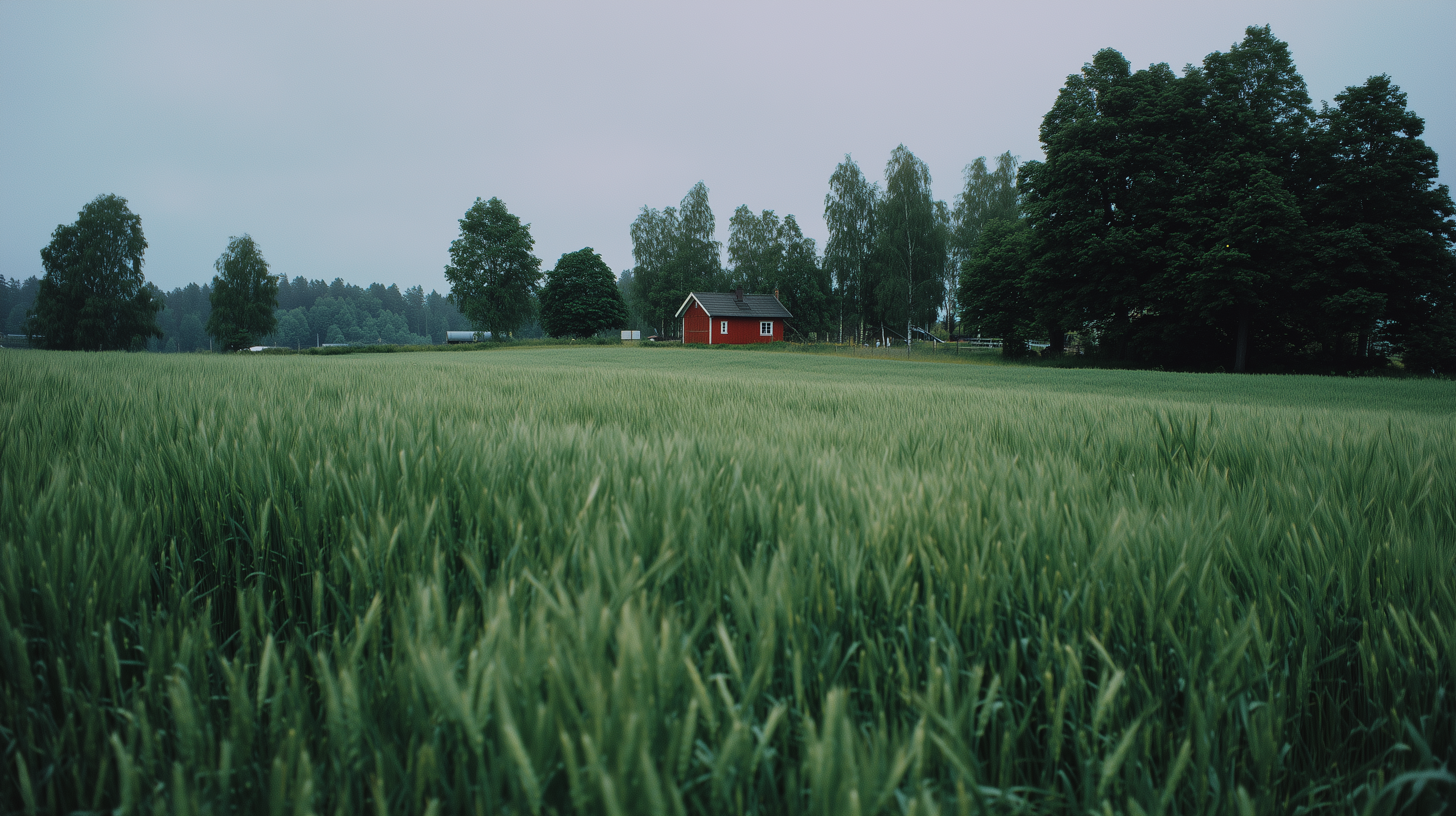 fond d'écran Campagne Apple téléchargement gratuit