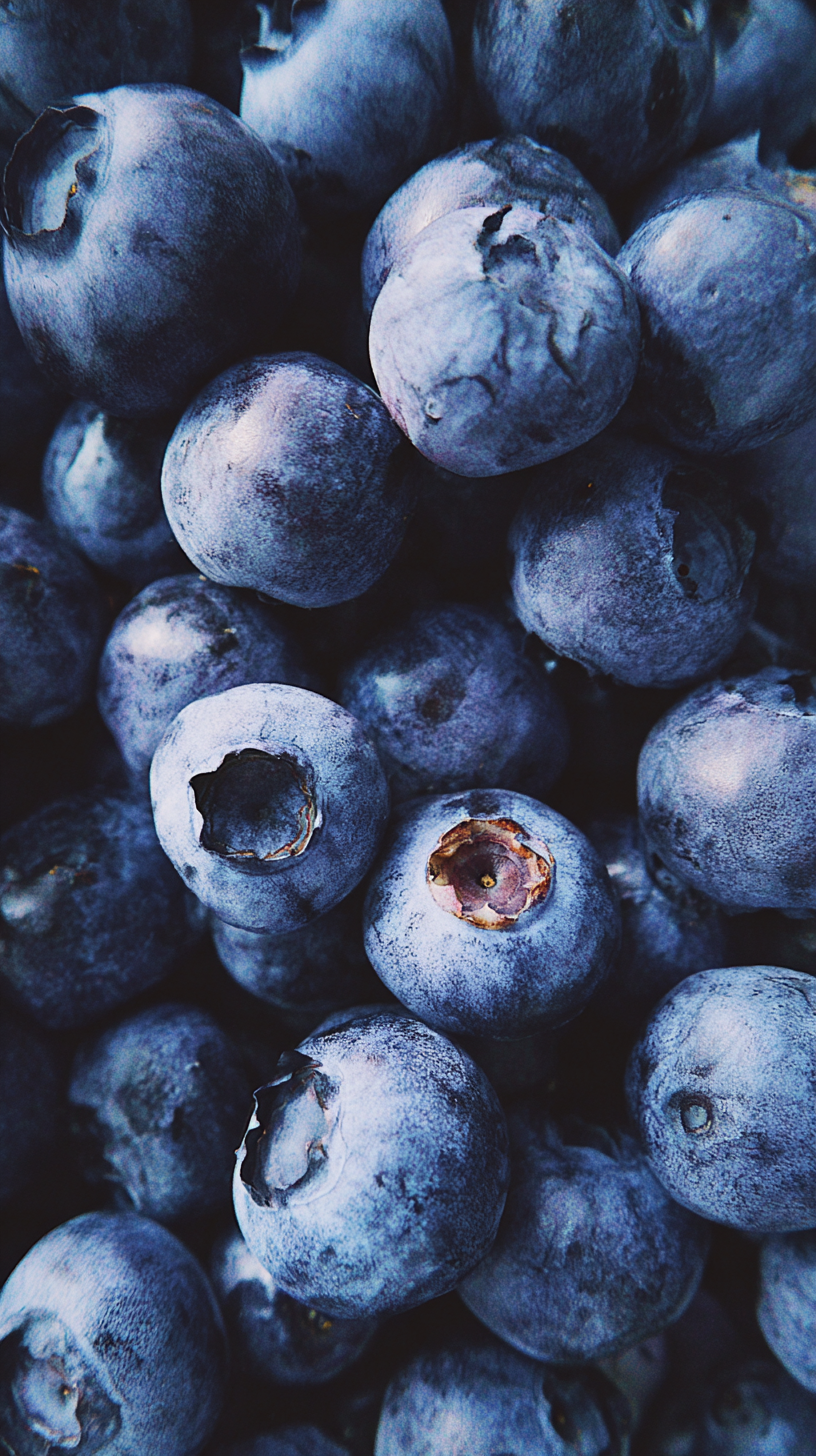 fond d'écran myrtille gratuit pour téléphone portable samsung télécharger gratuit