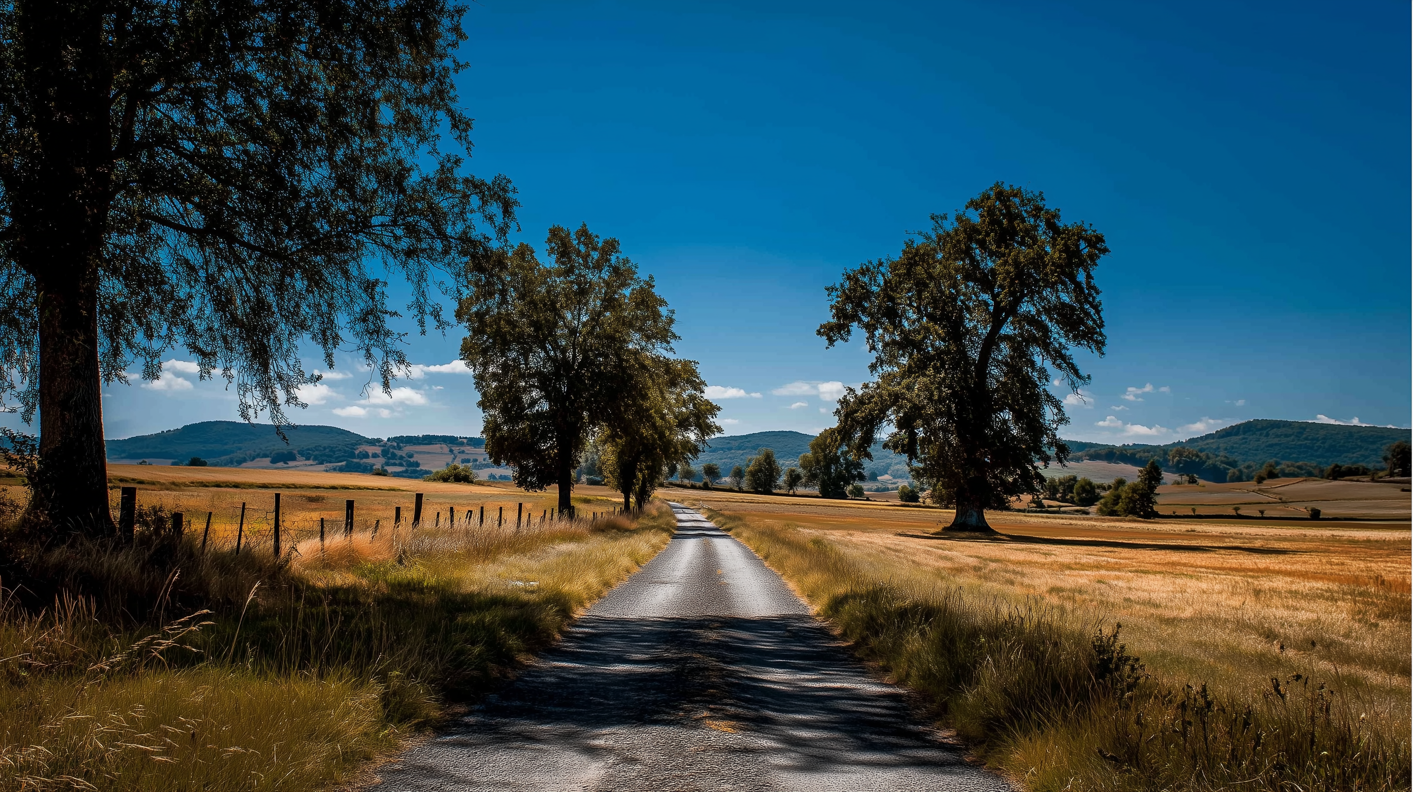 fond d'écran Campagne windows 11 hd téléchargement gratuit