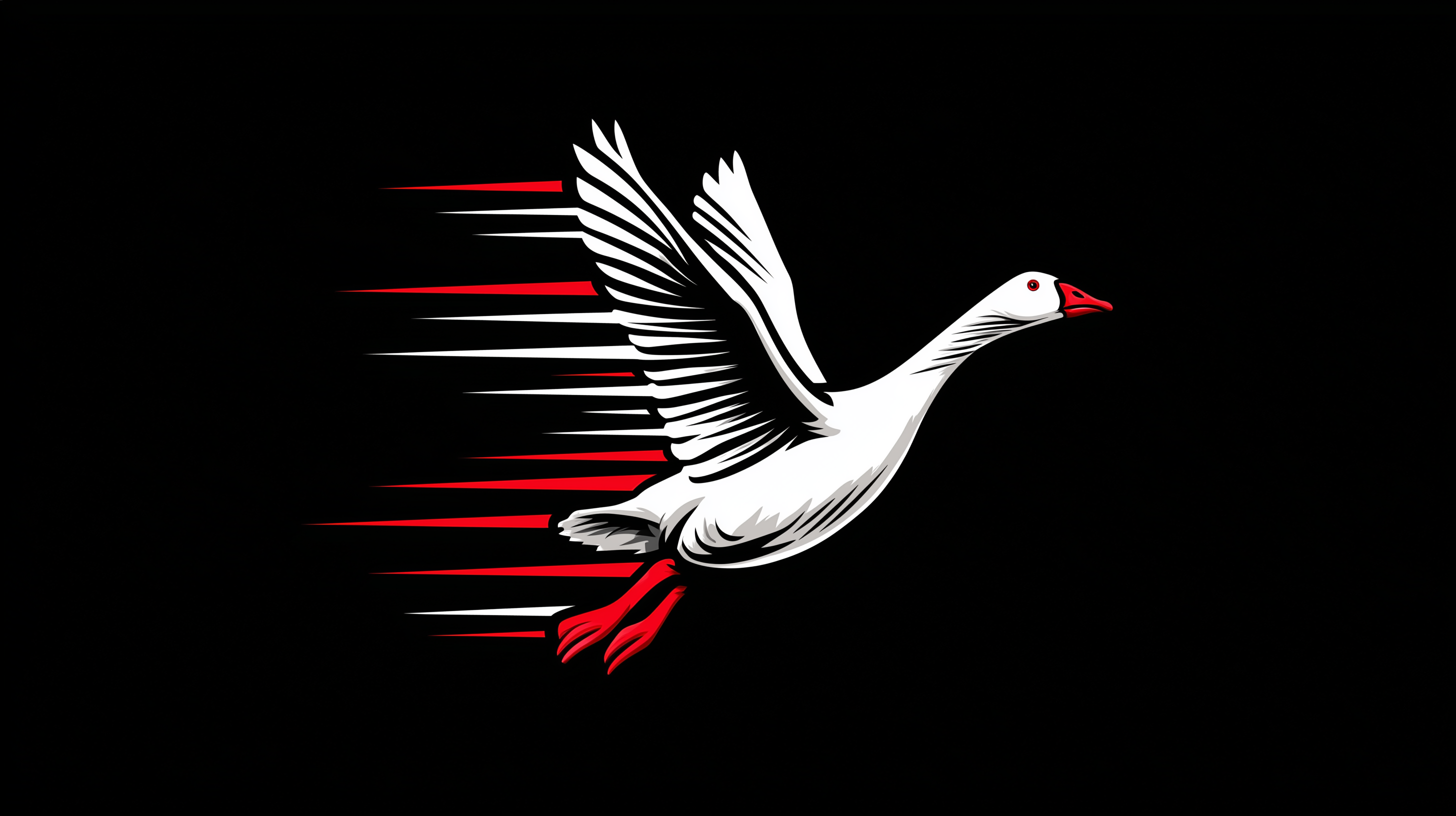 fond d'écran Oie 4k windows 10 téléchargement gratuit