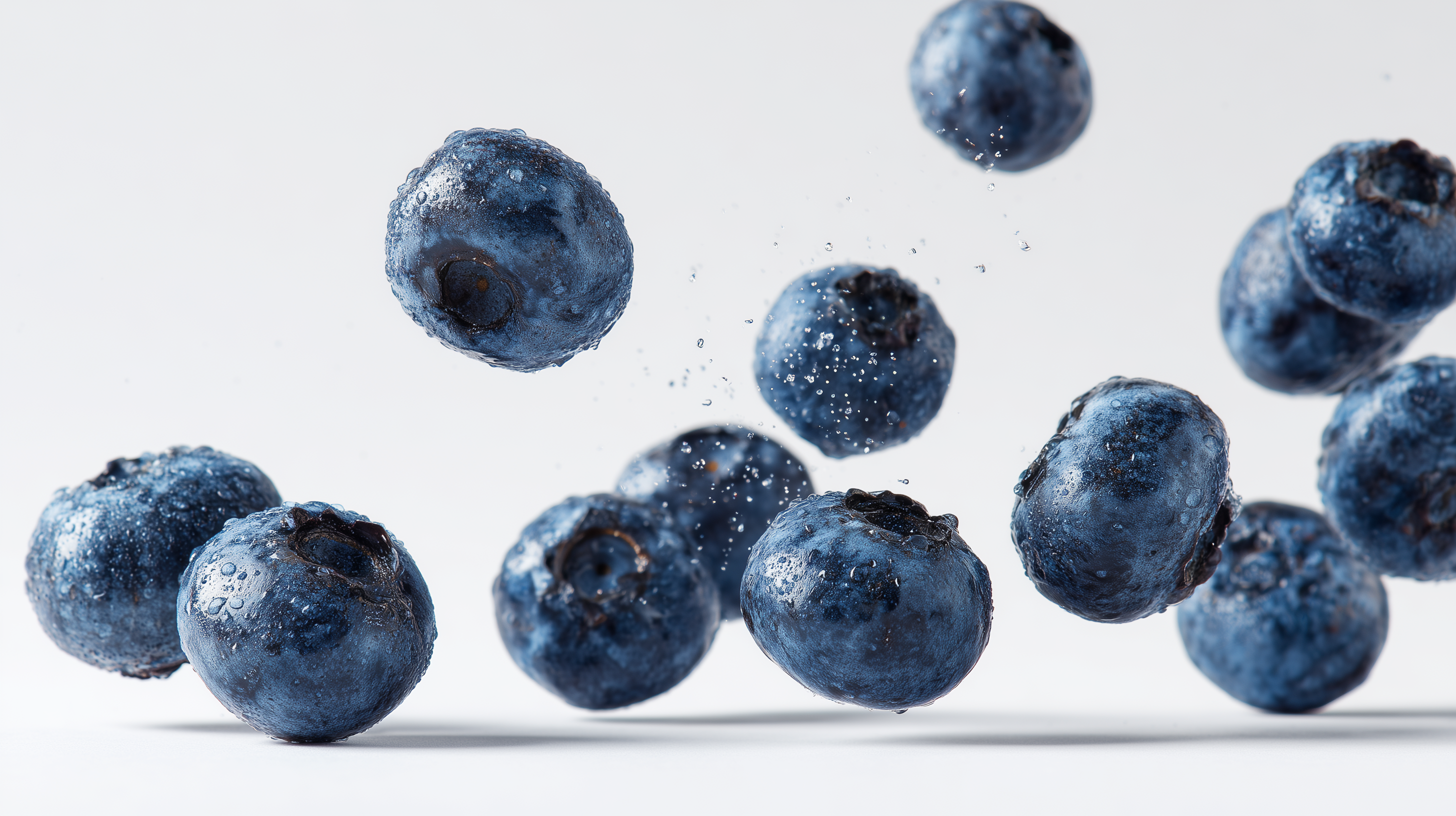 fond d'écran myrtille haute définition téléchargement gratuit