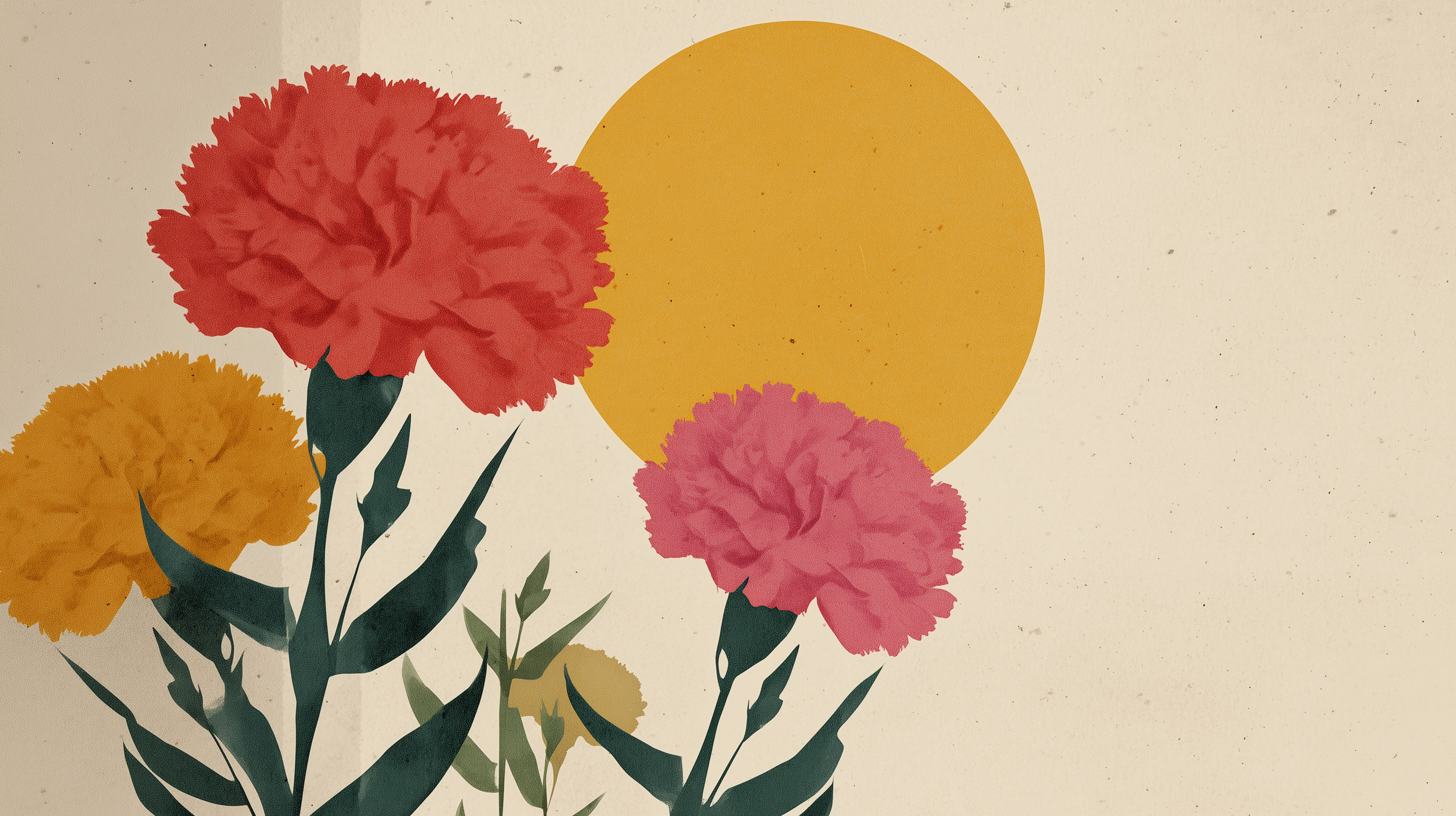 fond d'écran L’œillet 2560x1080 téléchargement gratuit