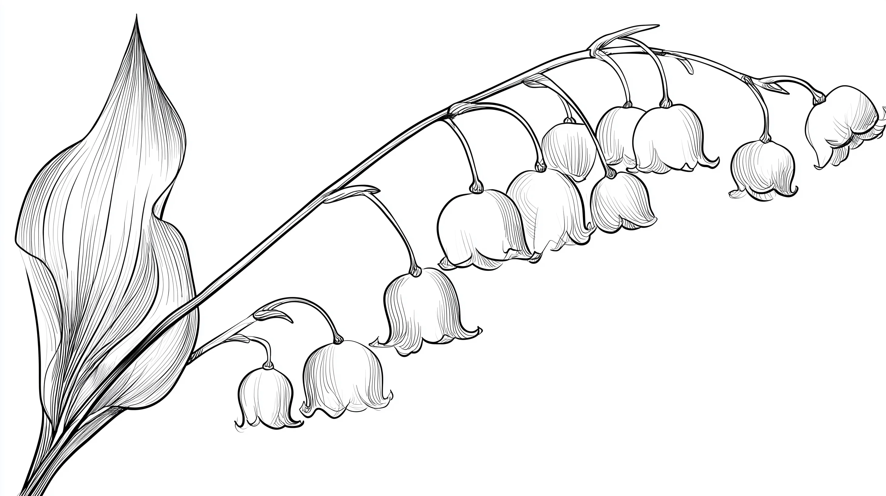 fond d'écran Muguet updated windows 11 gratuit téléchargement gratuit