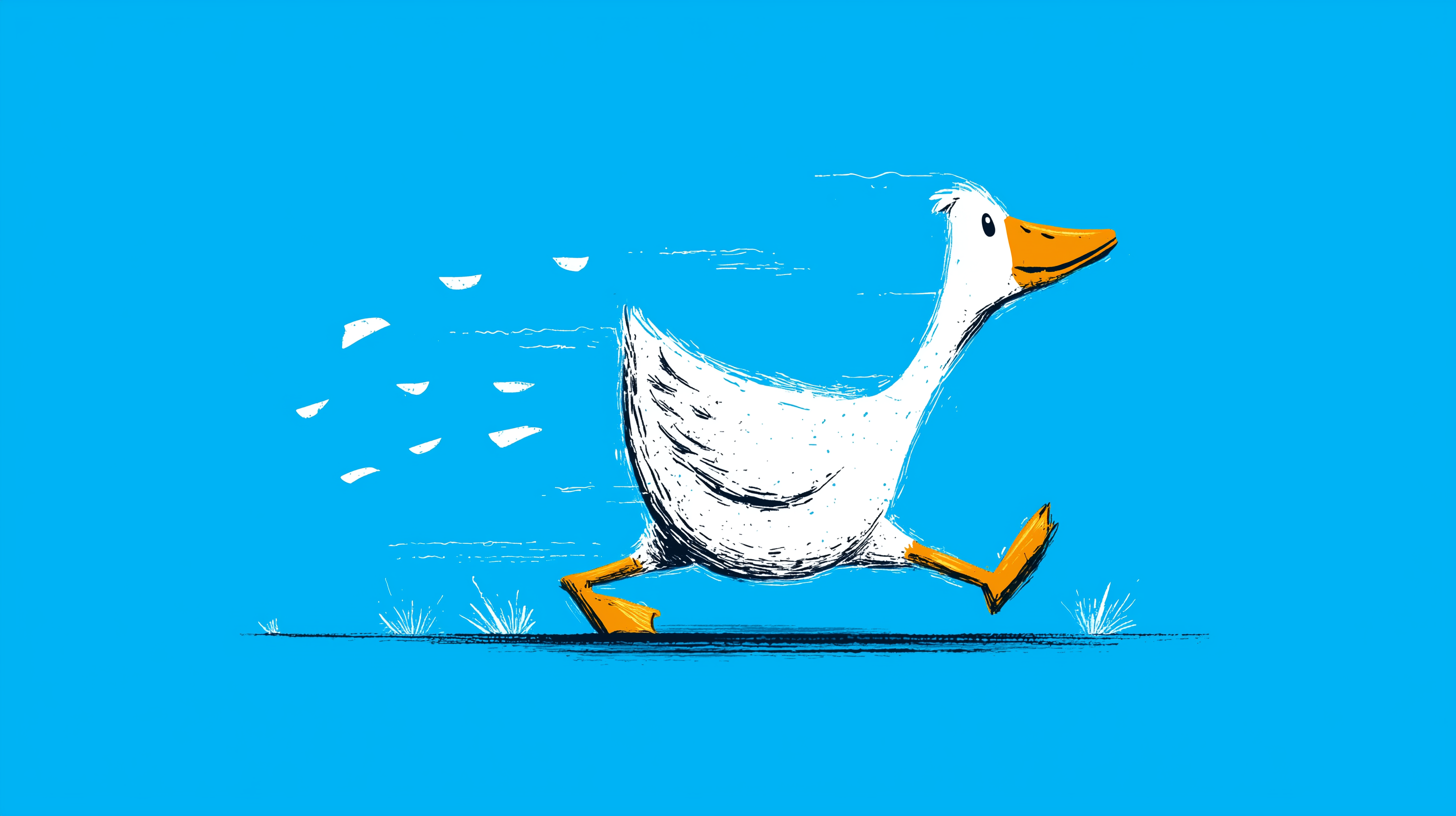 fond d'écran Oie pc 2560x1600 téléchargement gratuit