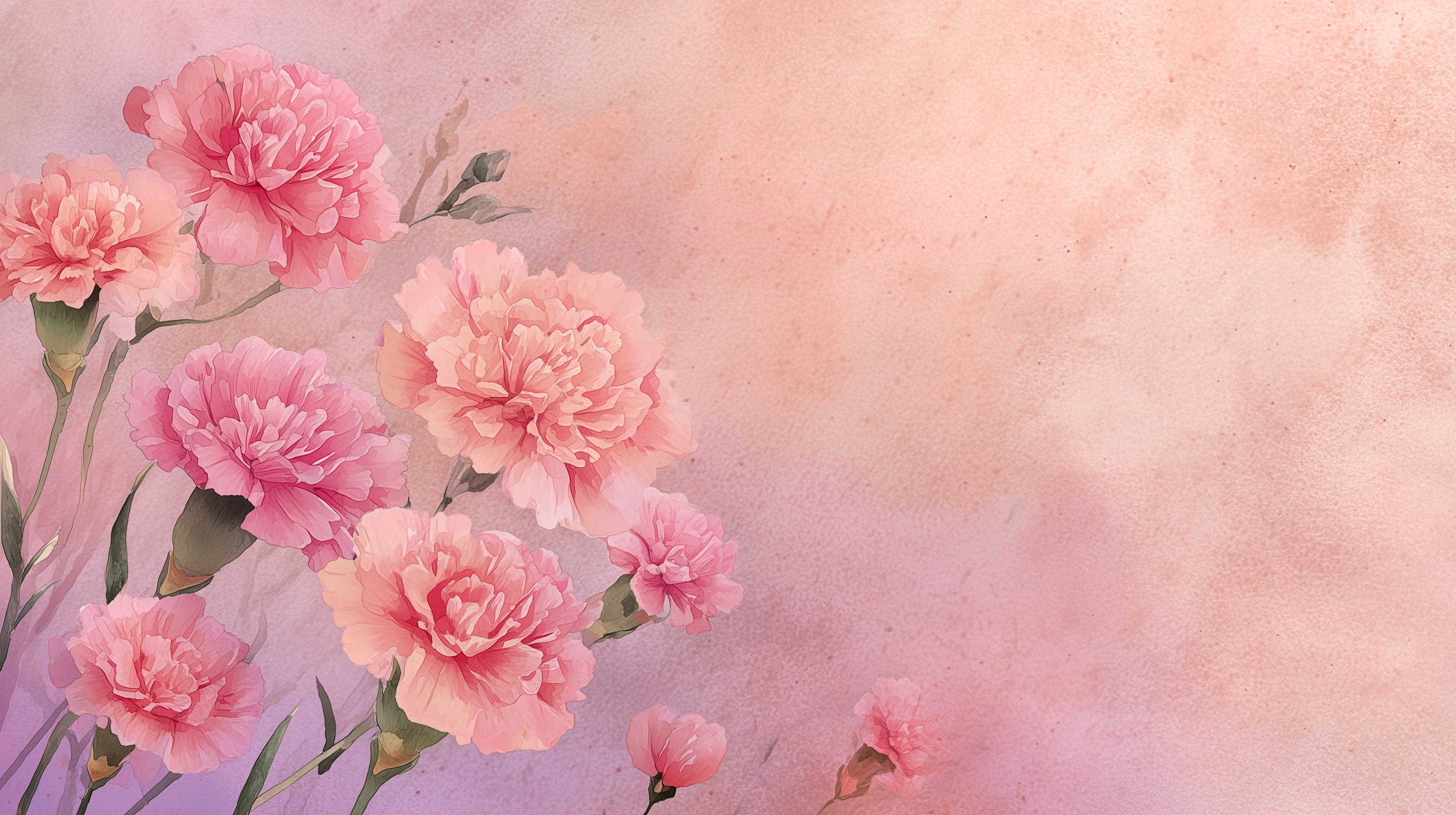 fond d'écran L’œillet 8k pc téléchargement gratuit