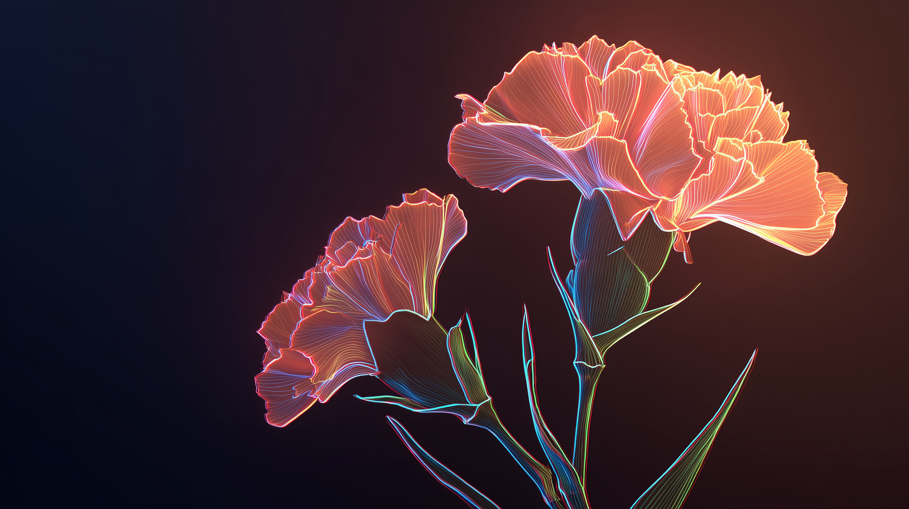 fond d'écran L’œillet pc dell téléchargement gratuit