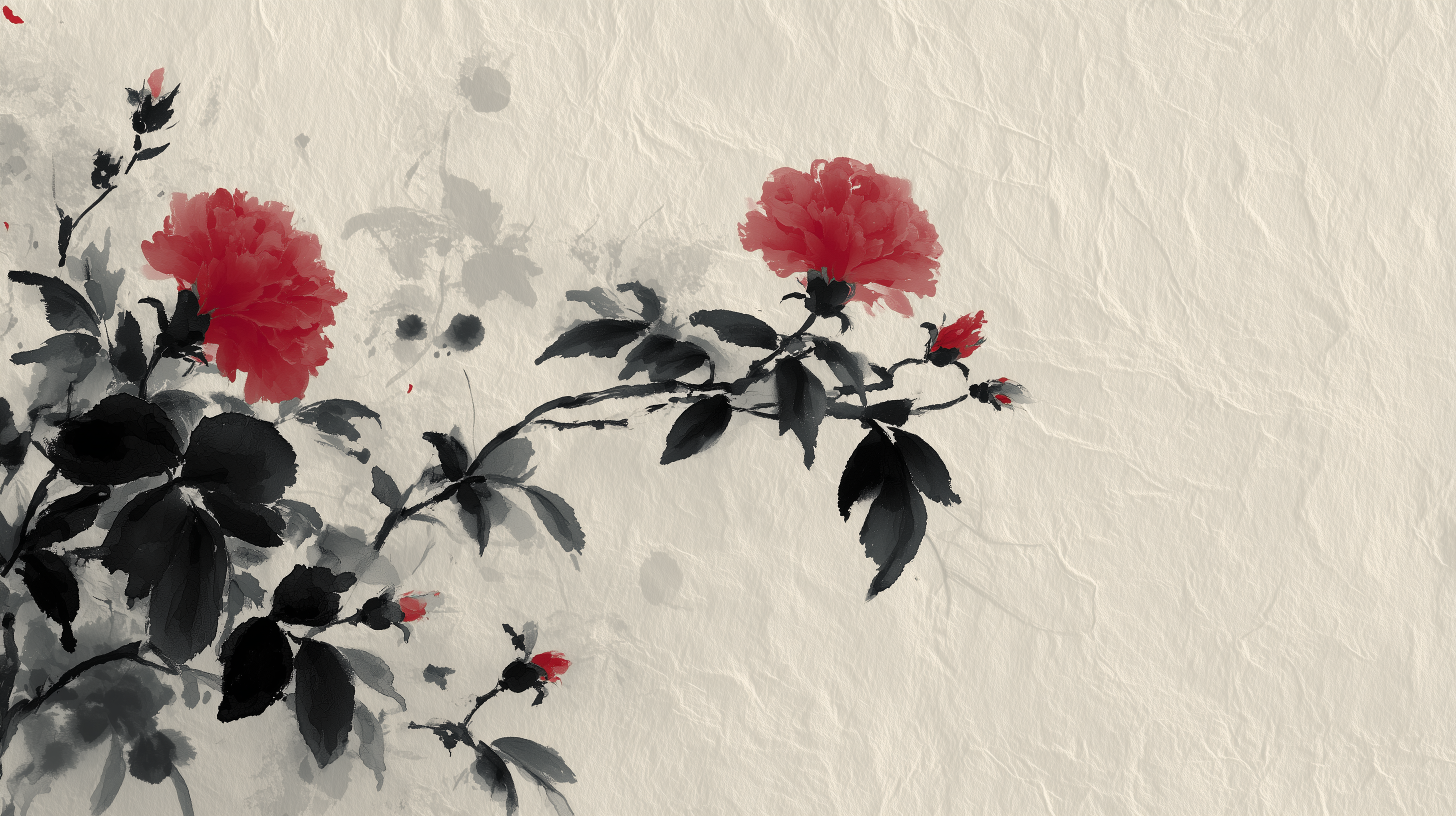 fond d'écran L’œillet 1080p téléchargement gratuit