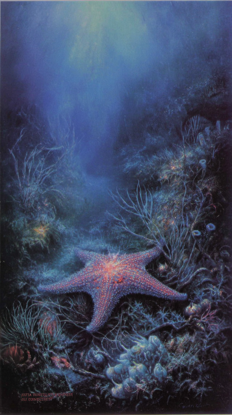 fond d'écran Étoile de mer iphone 12 gratuit