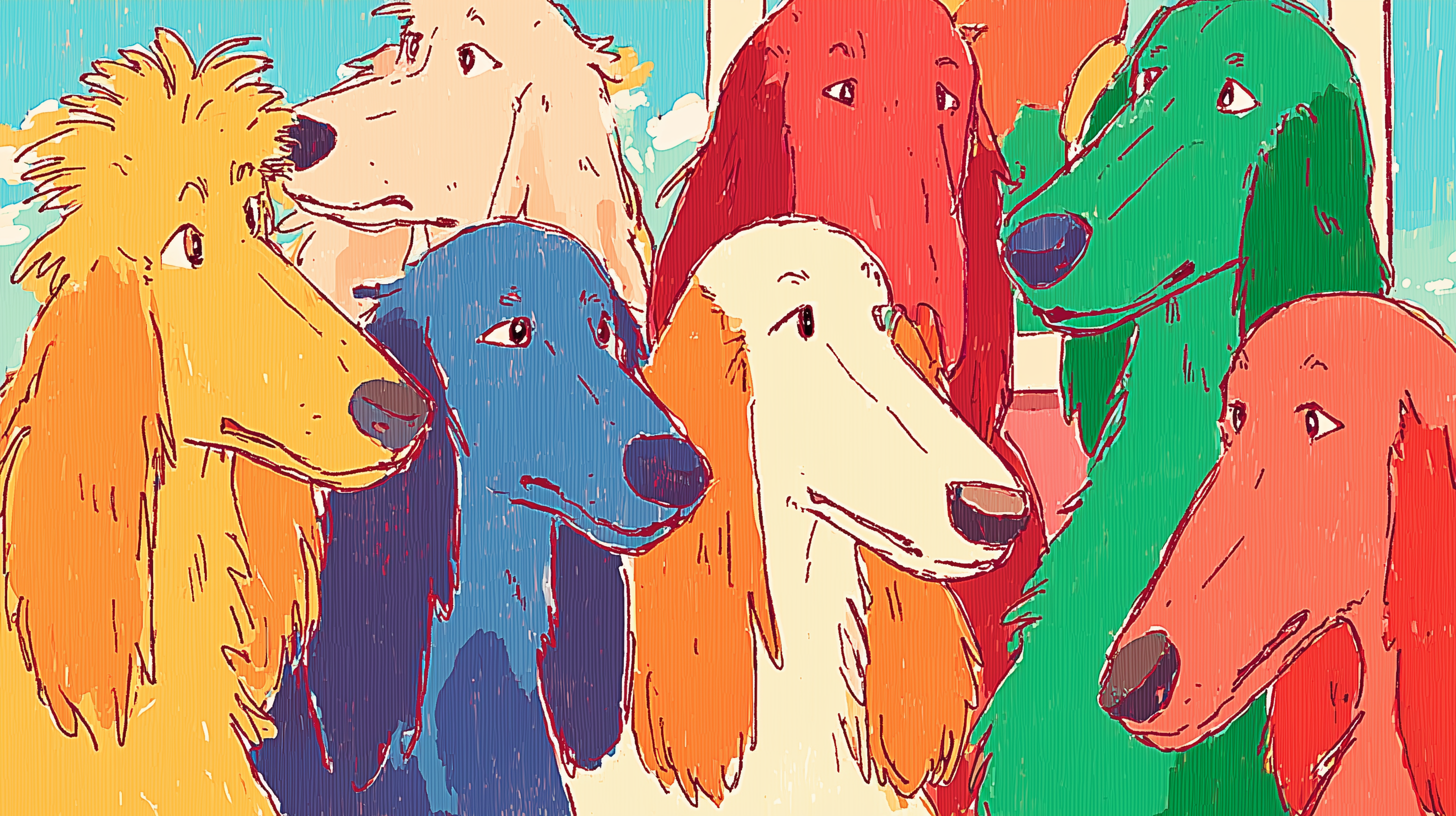 windows 11 fond d'écran Lévrier afghan téléchargement gratuit