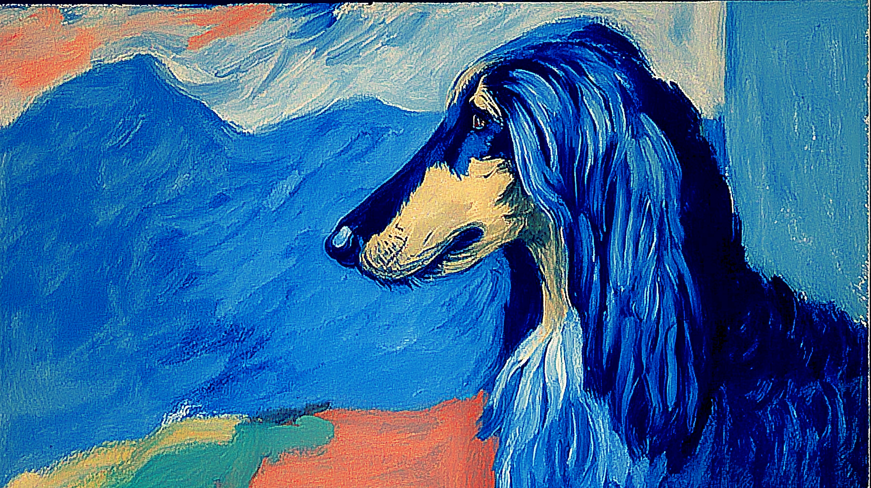 fond d'écran Lévrier afghan 1920x1200 hd téléchargement gratuit