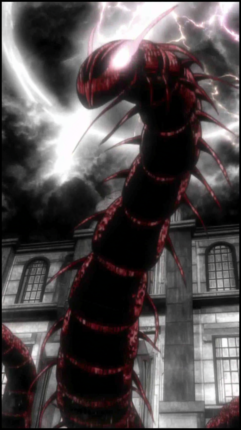 fond d'écran Chilopoda iphone 15 4k télécharger gratuit