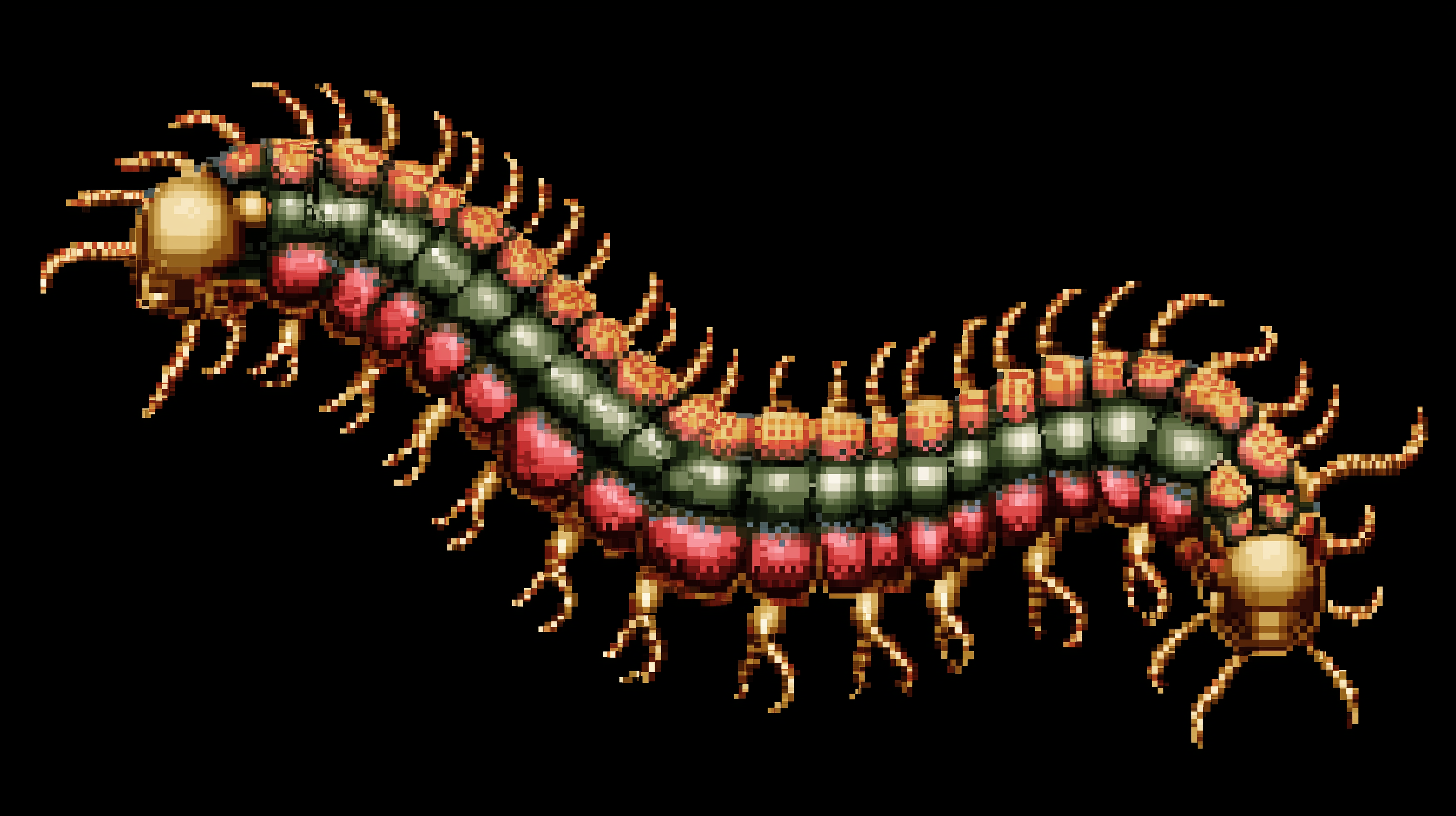 fond d'écran Chilopoda 1920x1080 téléchargement gratuit