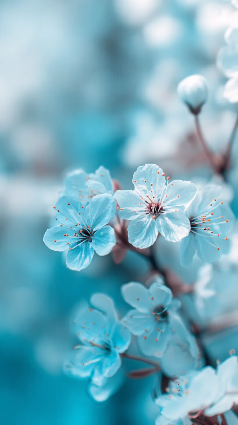 fond d'écran Bleu Pastel updated iphone 4k gratuit