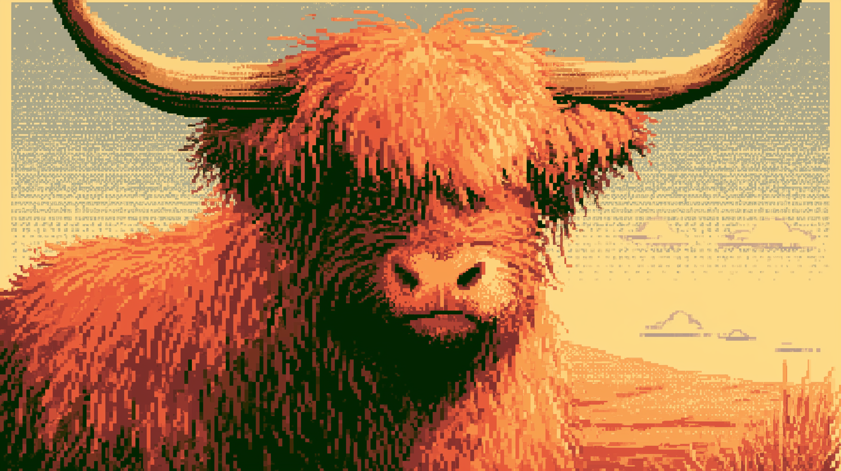 fond d'écran Highland cattle pc 1440p téléchargement gratuit
